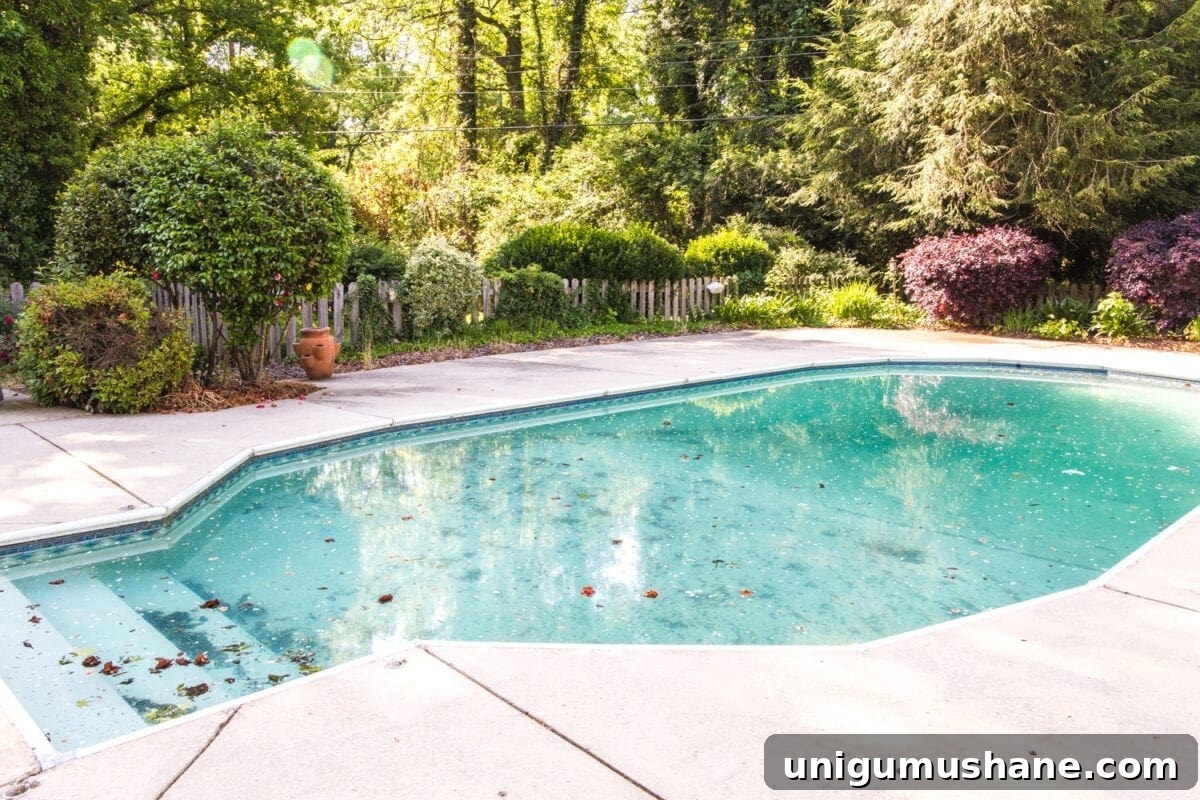 Better Homes and Gardens Patio Sets for Your Backyard 3 swimming pool before