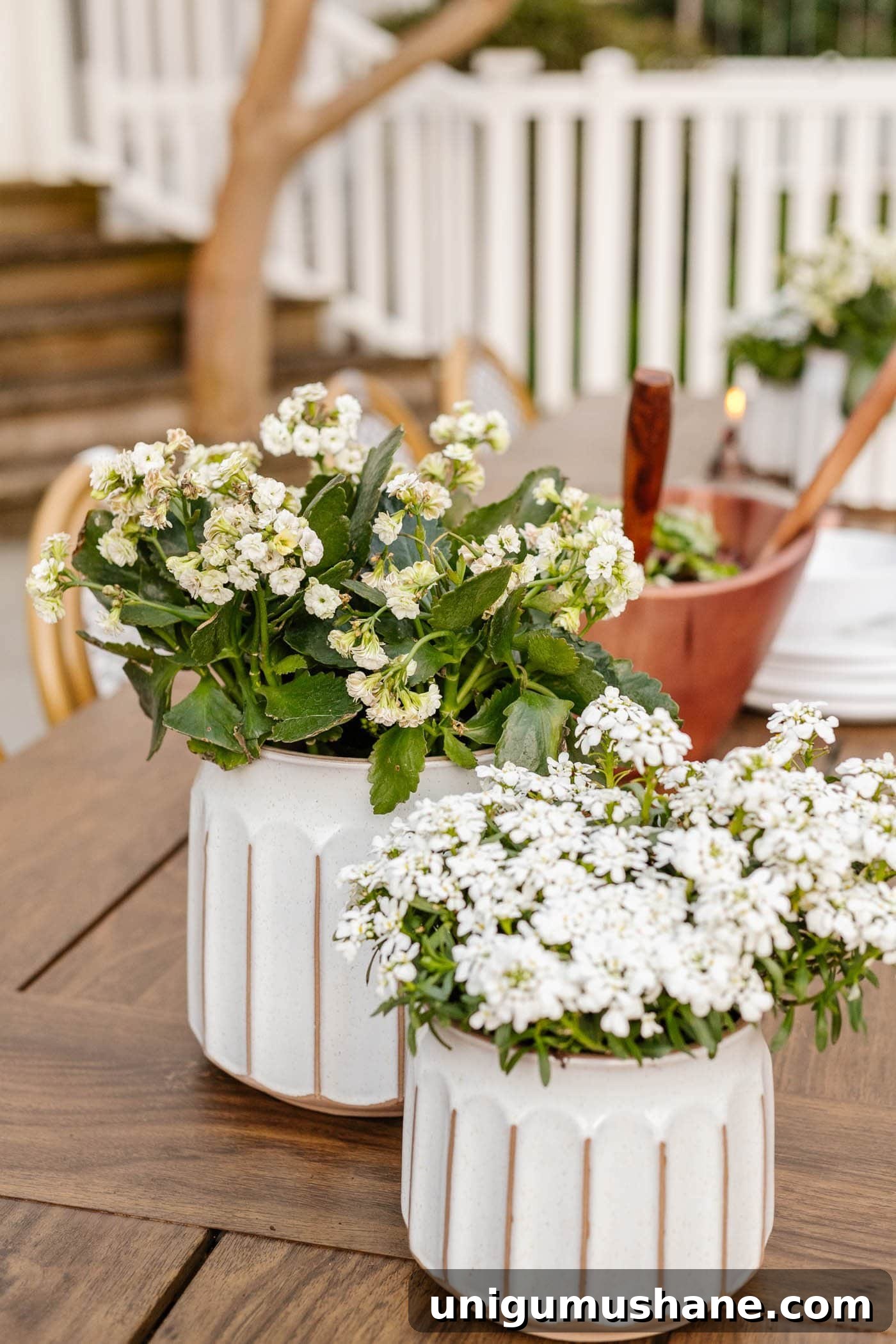 Better Homes and Gardens Patio Sets for Your Backyard 18 better homes & gardens planters