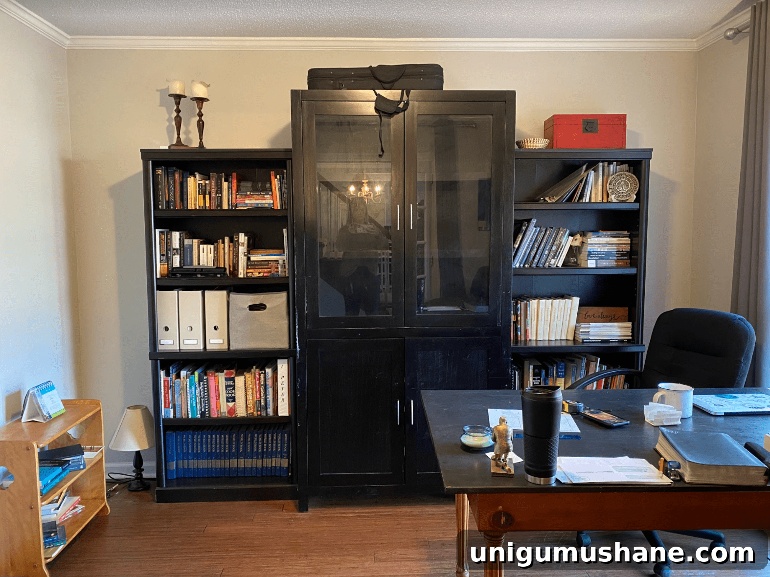 home office shelving before