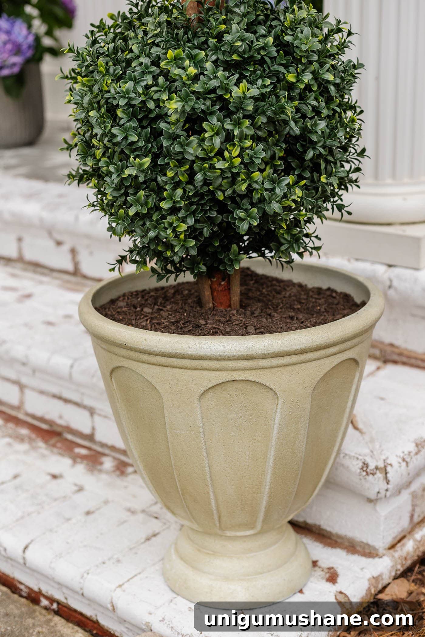 6 Budget-Friendly Small Front Porch Ideas to Boost Curb Appeal 4 urn planter with boxwood topiary on porch steps