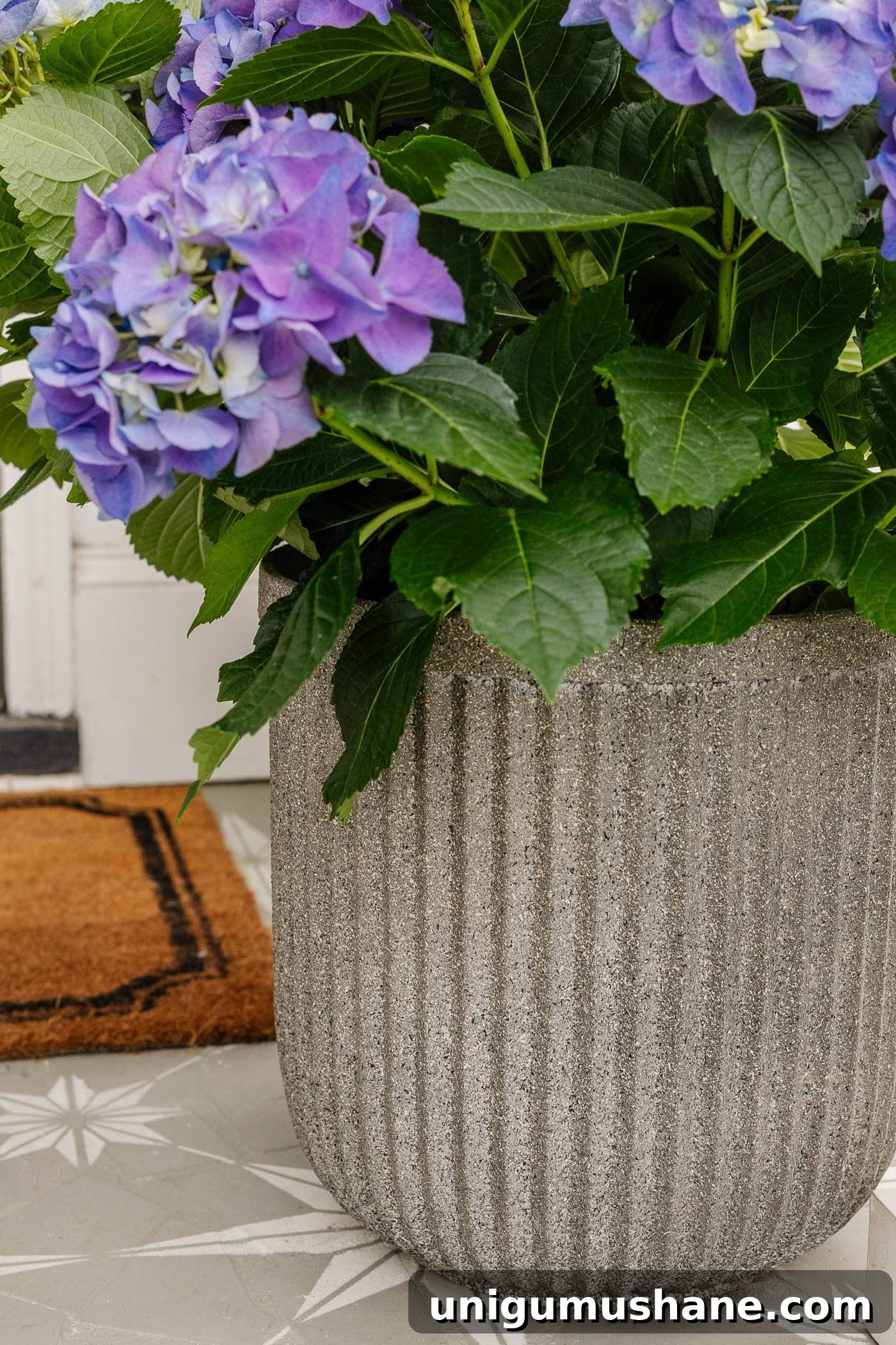 How to Make Faux Concrete Planters with Spray Paint 11 close up of fluted faux DIY concrete planters made with spray paint on cheap resin planters