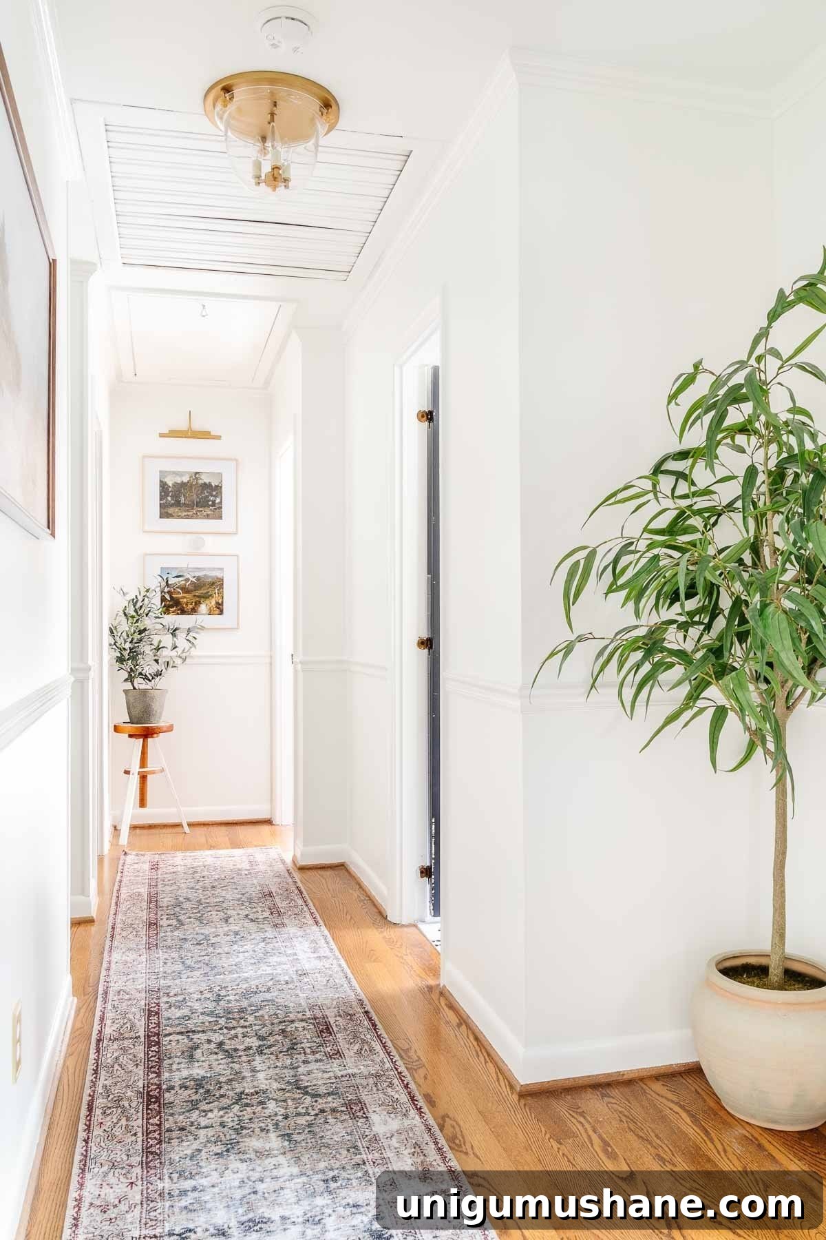 white painted hallway with plants and runner rug
