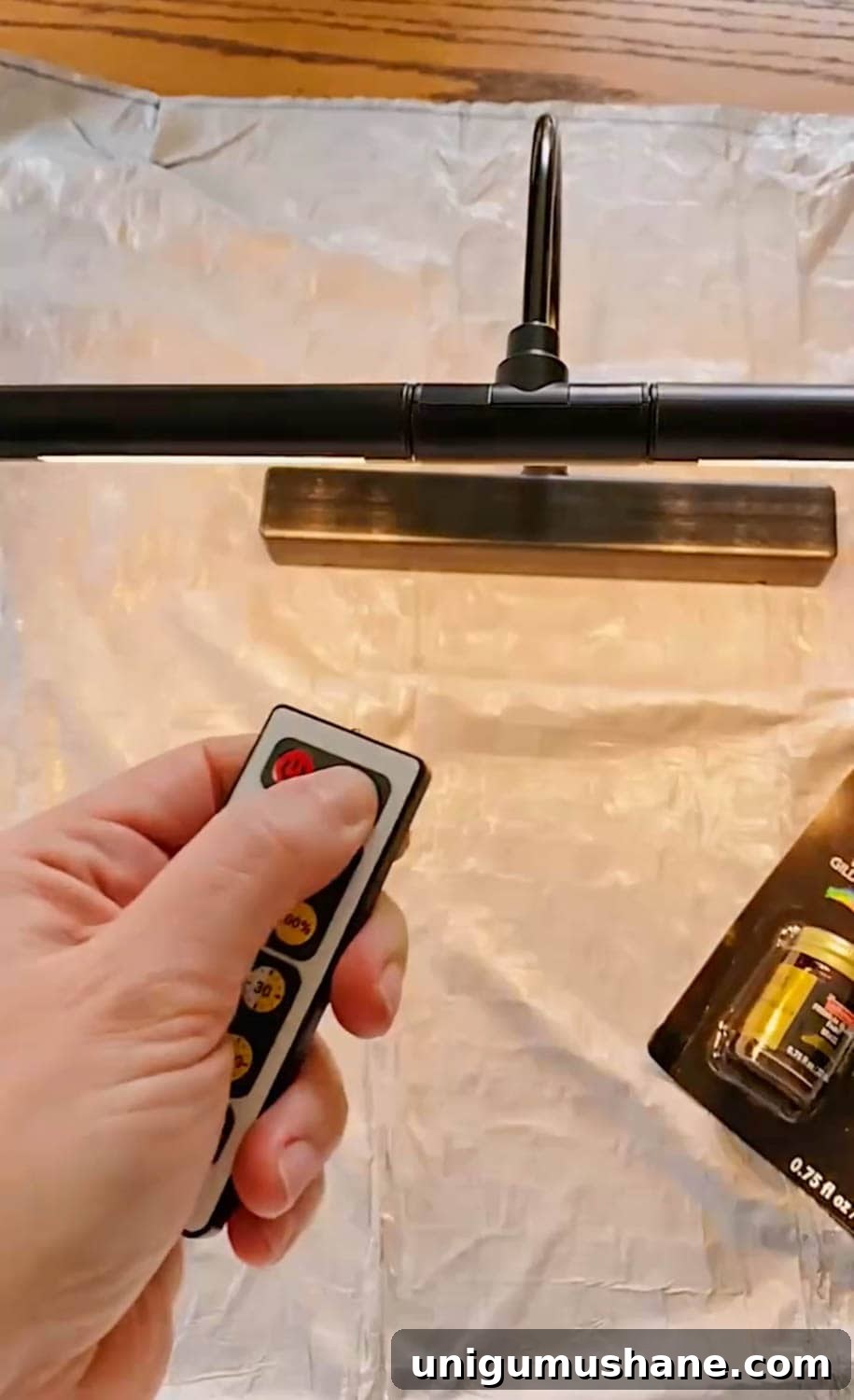 Install a Plug-In Picture Light Without Hardwiring 8 setting timer with a remote on a wireless picture light
