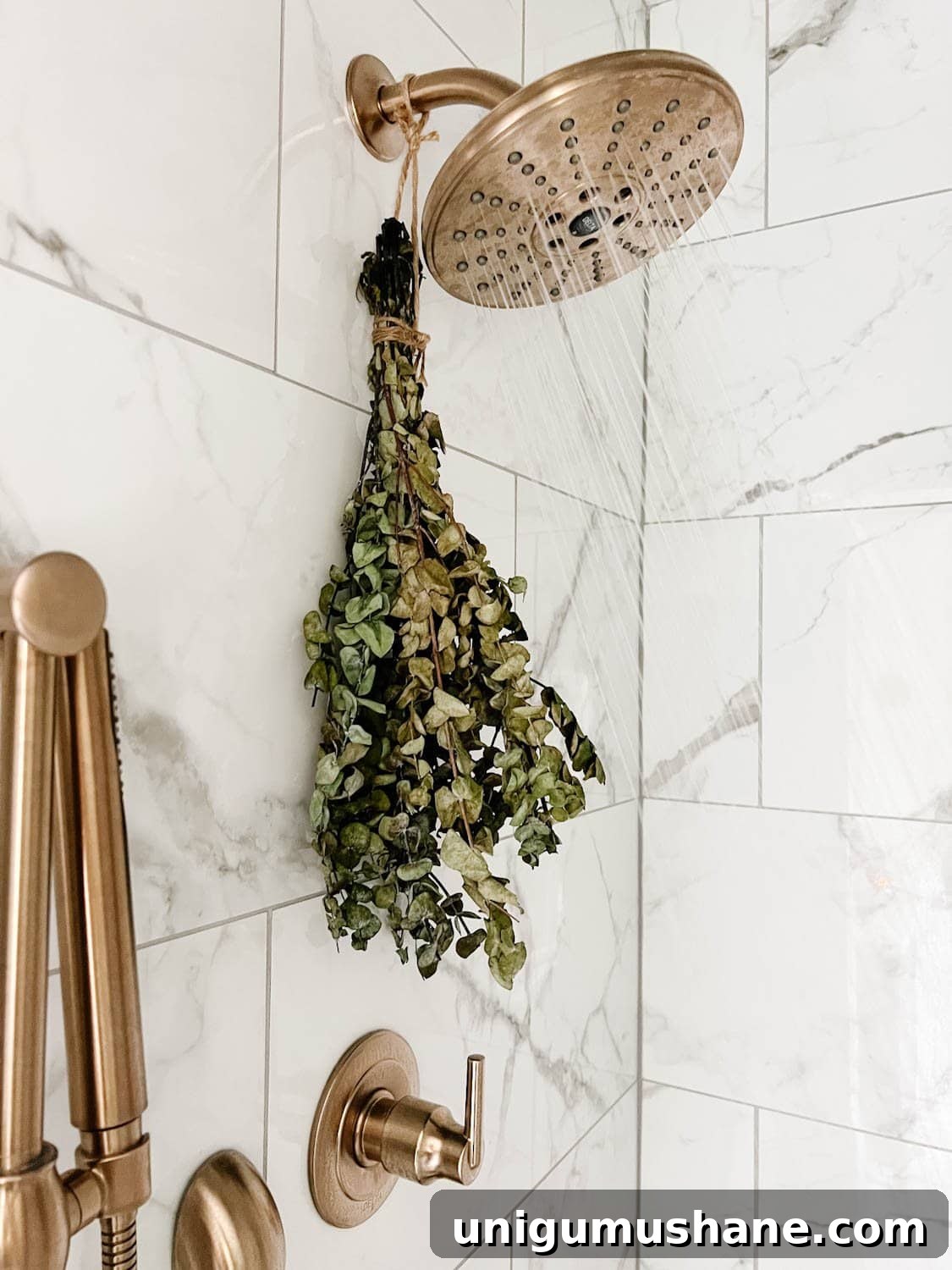 Affordable Spa Bathroom Ideas to Create a Luxury Home Retreat 6 eucalyptus hanging from shower head for aromatherapy