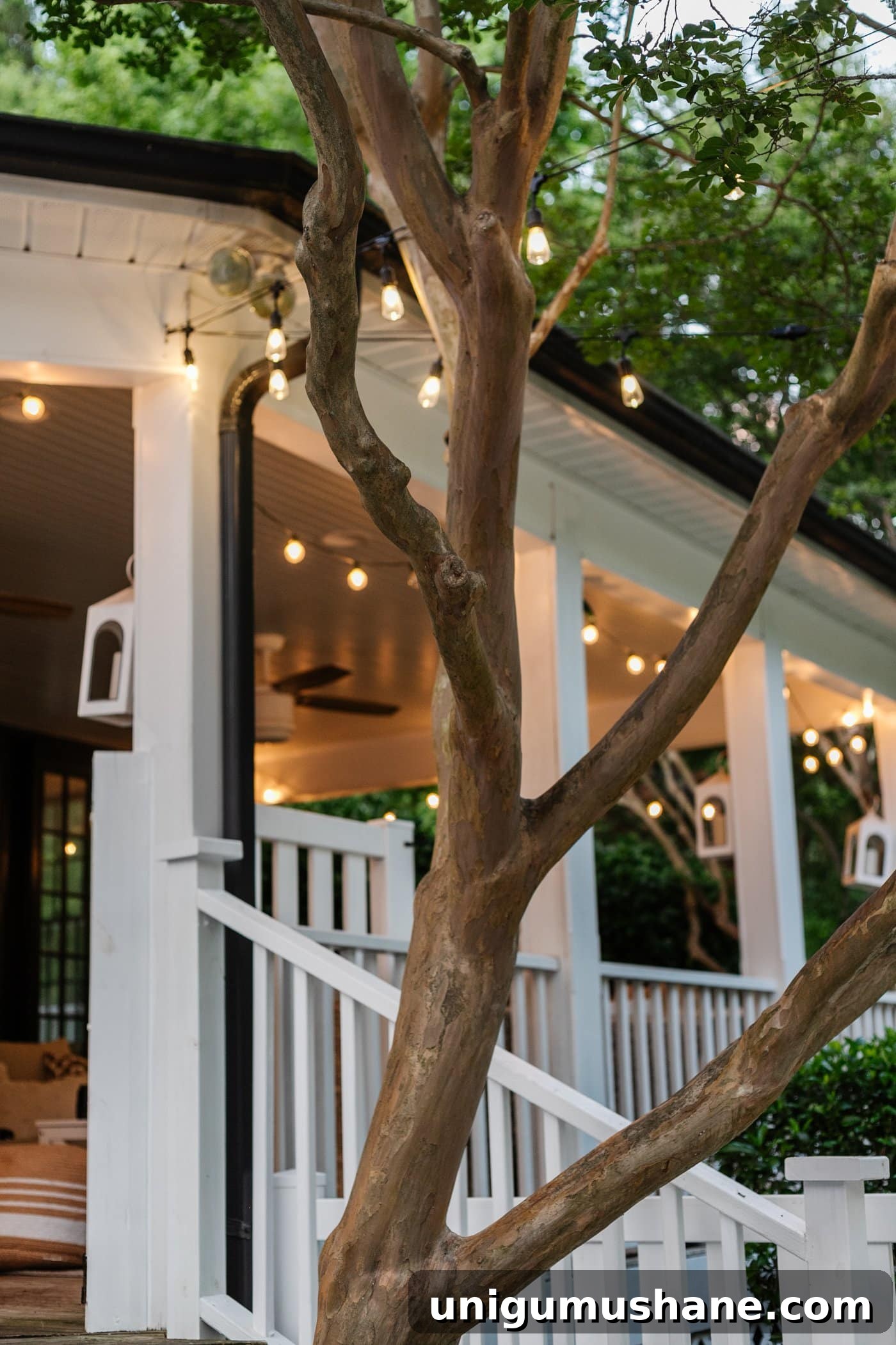 How to Hang Outdoor String Lights Anywhere in Your Backyard 6 lights hanging from a house through trees
