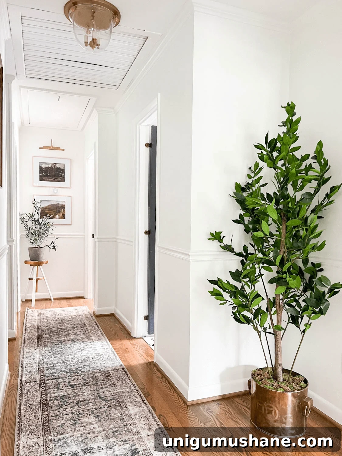Make a Fake Tree Look Real: Lifelike Styling Tips 2 faux tree in a hallway with runner rug, art, and brass hallway light
