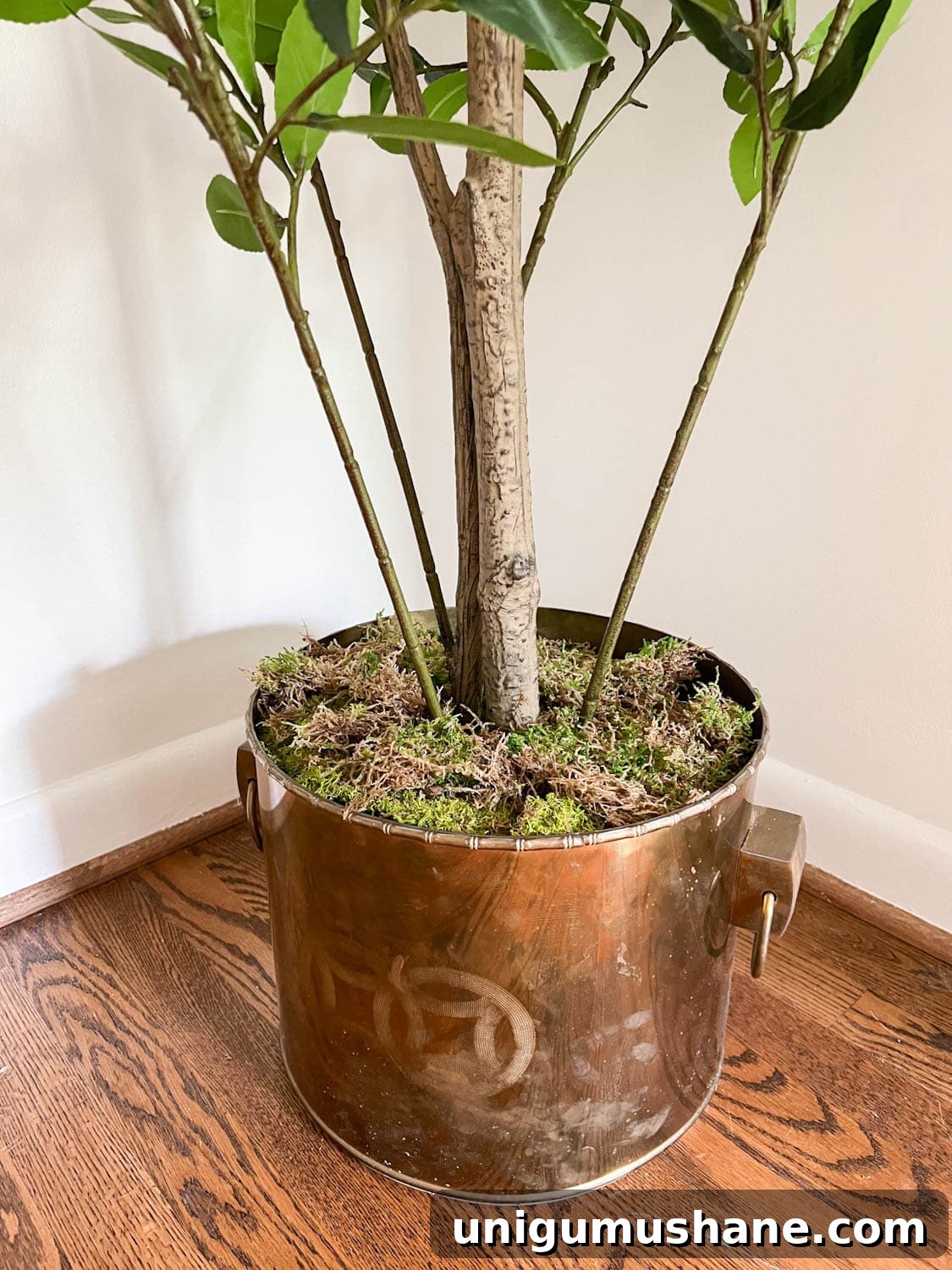 Make a Fake Tree Look Real: Lifelike Styling Tips 7 vintage brass planter stuffed with bubble wrap and moss to make a faux tree look realistic