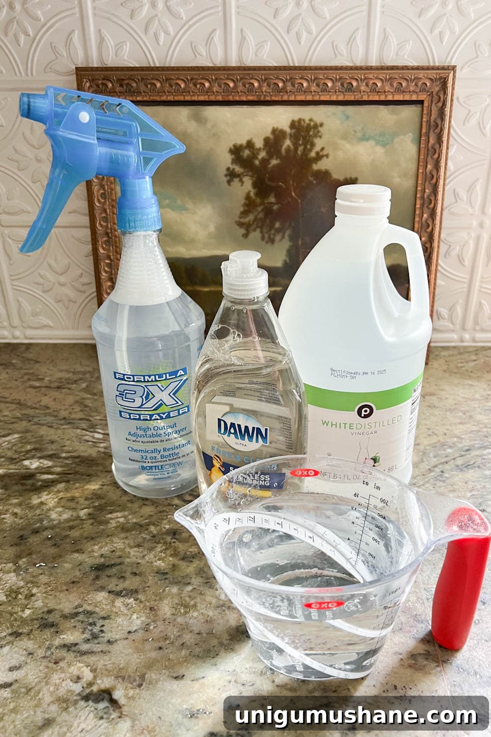 DIY couch cleaner using water, white vinegar, and dish soap in a spray bottle