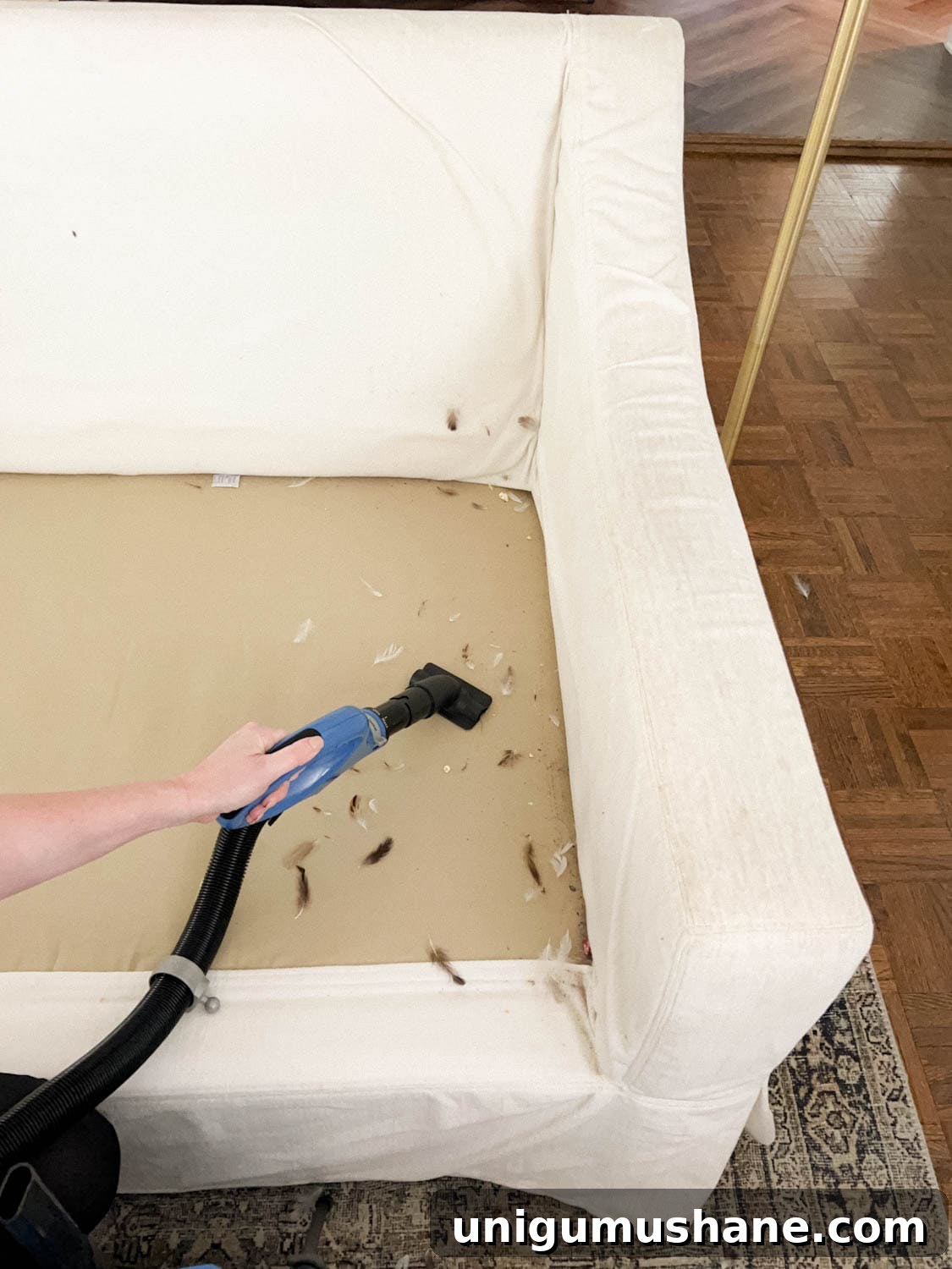 vacuuming debris underneath sofa cushions