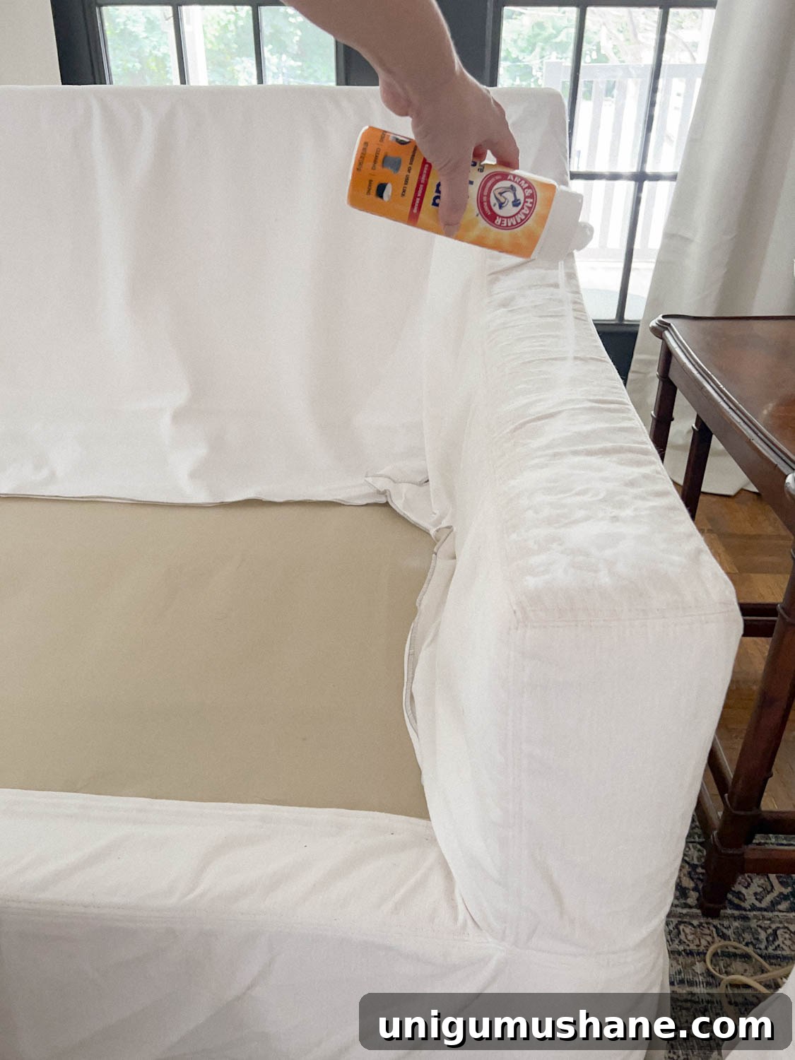 baking soda sprinkled on surface of couch to deodorize