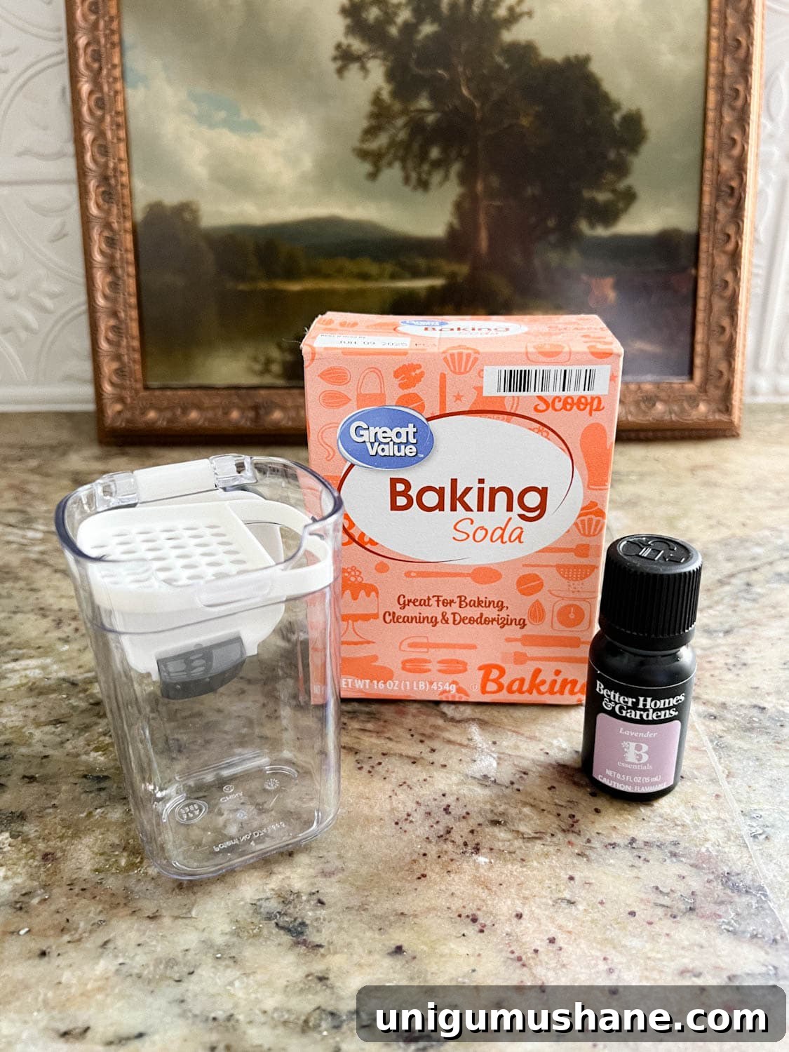 16 Natural Home Fragrance Hacks for a Fresh Smelling House 16 ingredients to make DIY carpet deodorizer