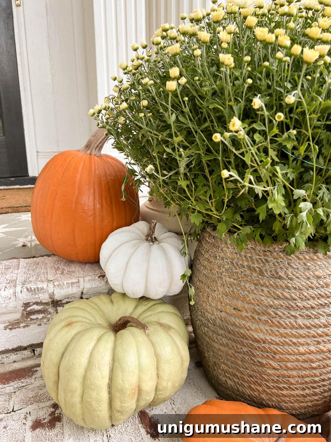 Realistic Faux Pumpkins for Fall 2024 Home Decor 8 orange, white, and green faux pumpkins with planter of mums