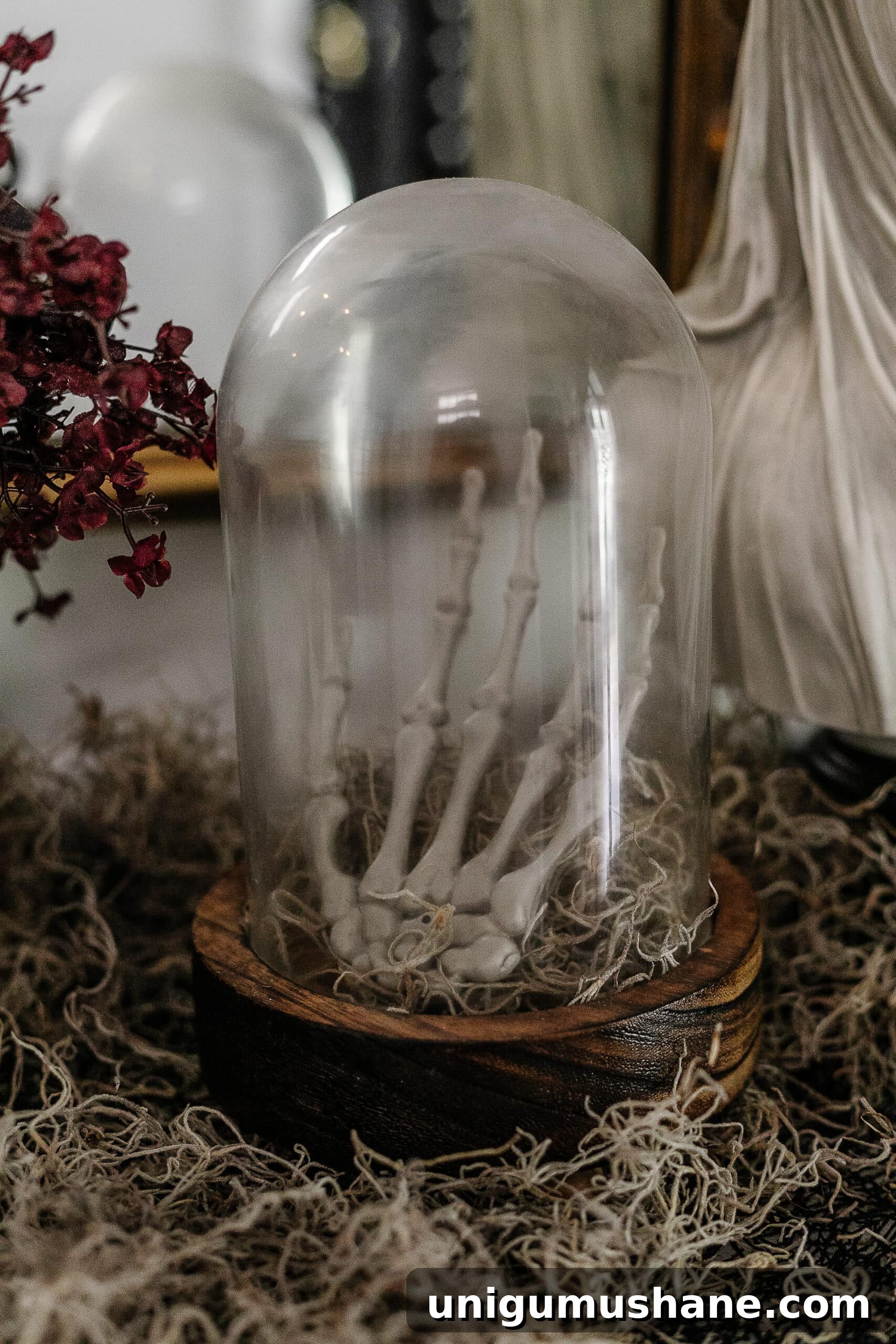 DIY Haunted House Entryway Ideas for Halloween 9 DIY Halloween decor skeleton hand in a cloche