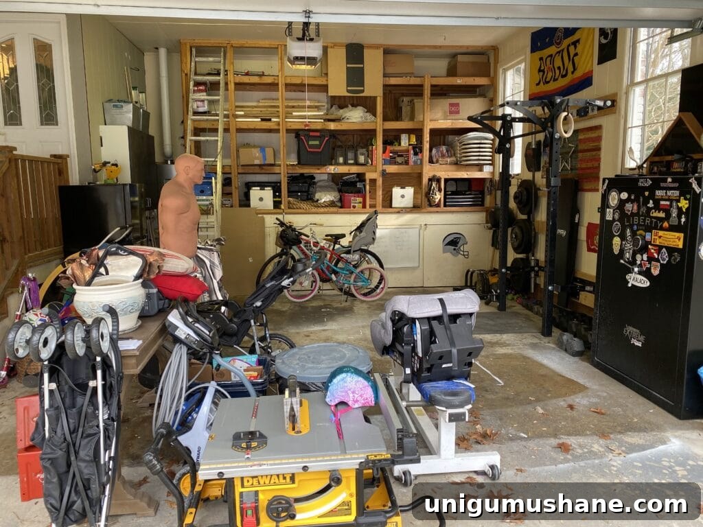 Smart Garage Storage Ideas to Maximize Space 3 garage before