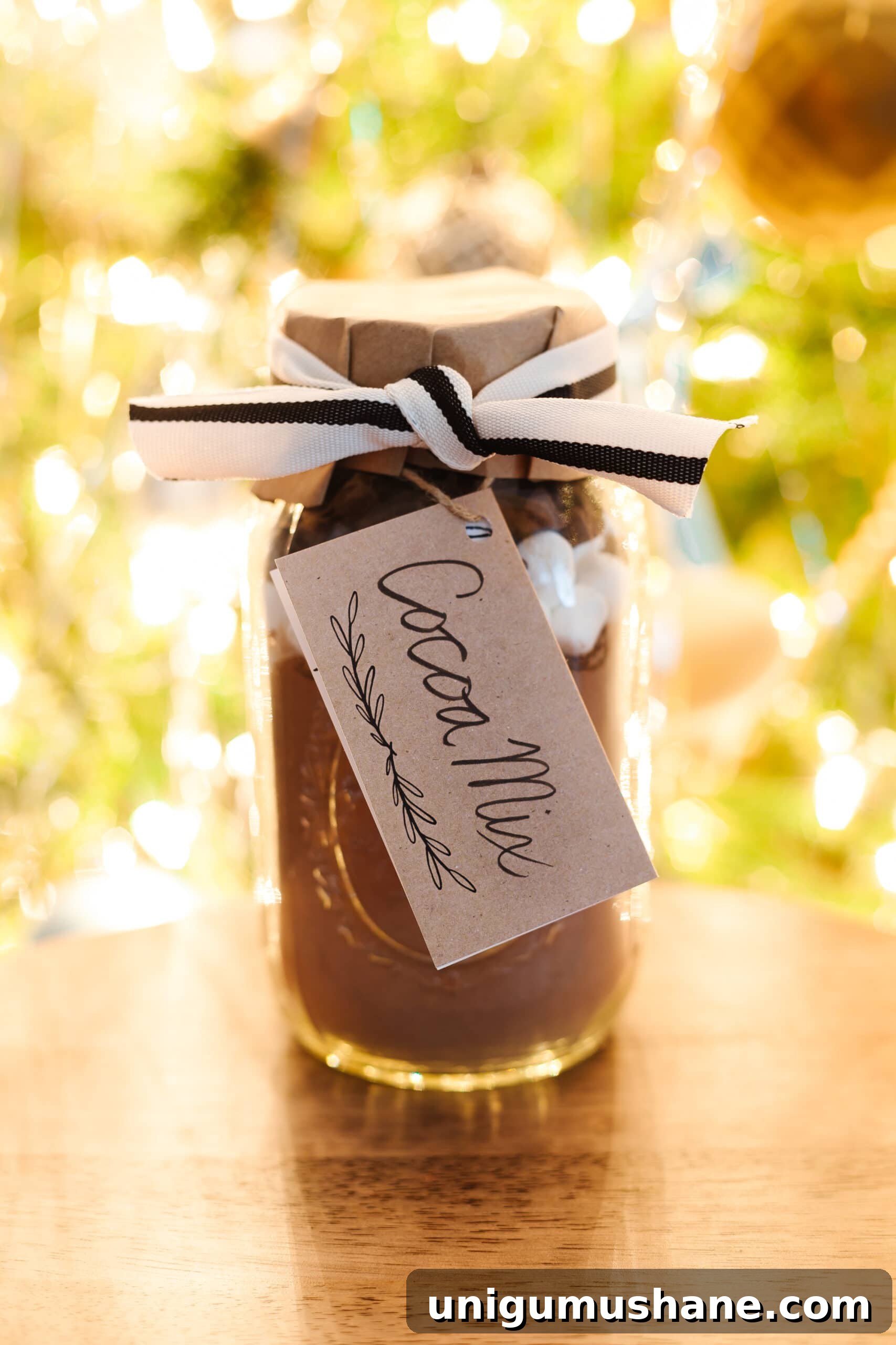 25 DIY Mason Jar Gifts for Last-Minute Presents 7 homemade hot cocoa mix