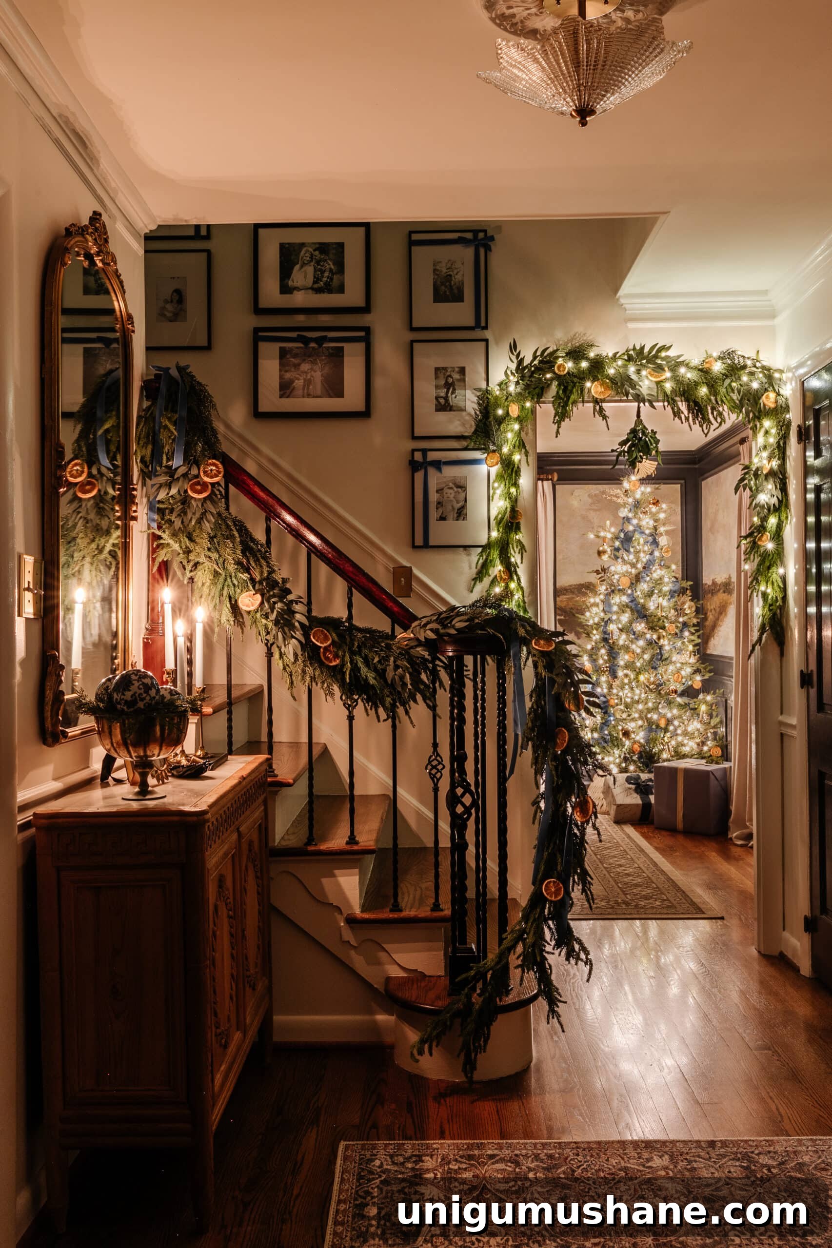 Photograph Christmas Tree Lights at Night: Candlelight Tour Tips 2 img 47541 1
