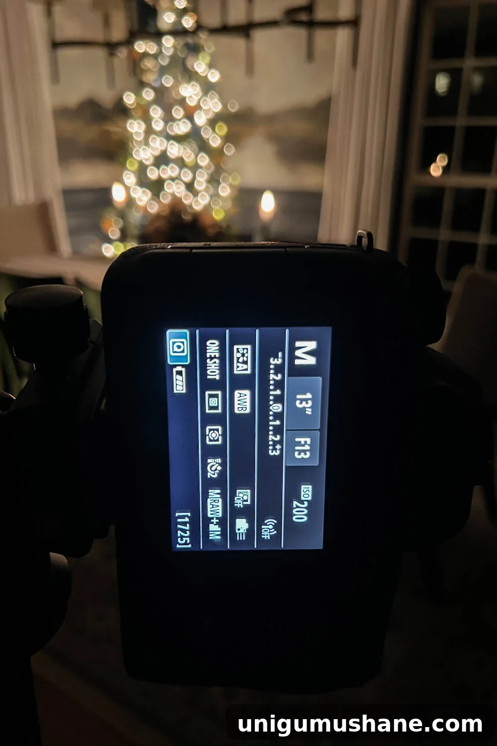 Photograph Christmas Tree Lights at Night: Candlelight Tour Tips 15 img 47541 15