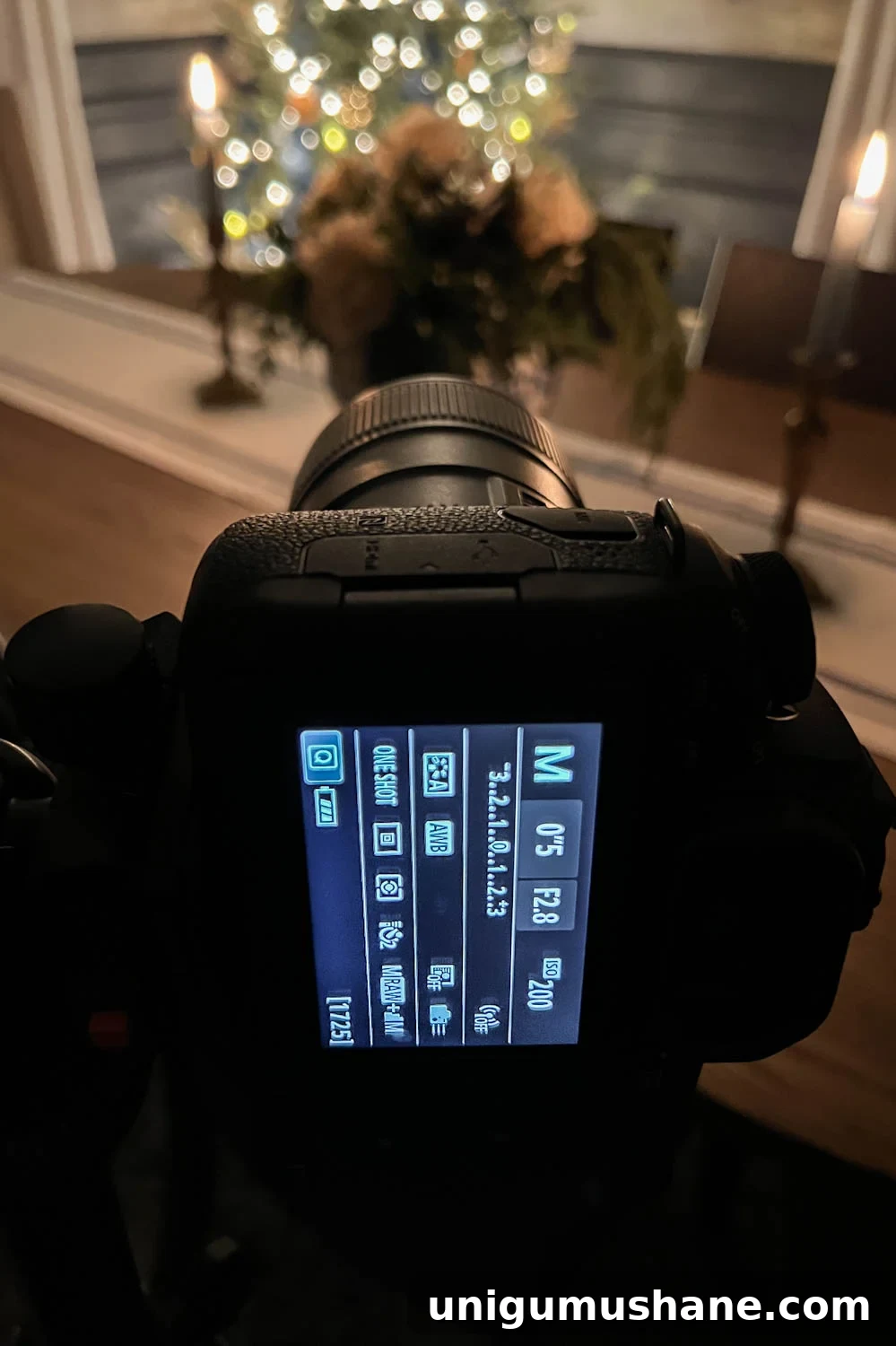 Photograph Christmas Tree Lights at Night: Candlelight Tour Tips 16 img 47541 17