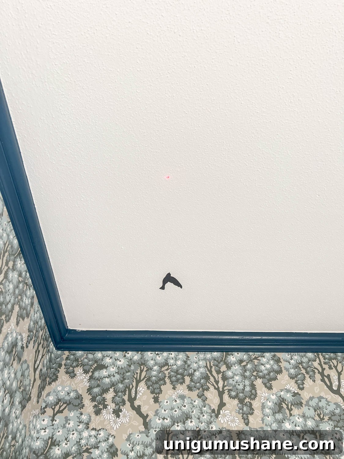 bird vinyl decal stuck to textured ceiling in a block print using a laser