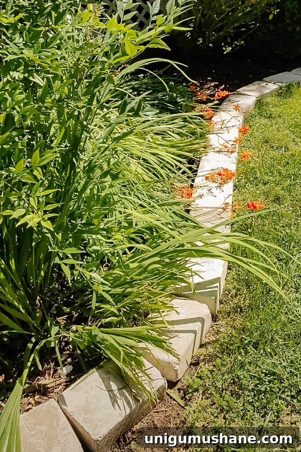 41 Budget-Friendly Backyard Projects for Outdoor Living 15 stone edgers around a flower bed