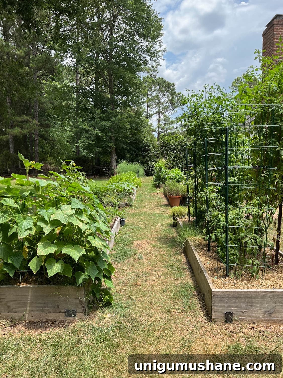 41 Budget-Friendly Backyard Projects for Outdoor Living 22 raised bed gardens in a backyard