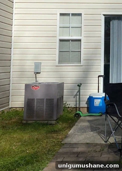 41 Budget-Friendly Backyard Projects for Outdoor Living 29 backyard HVAC unit before