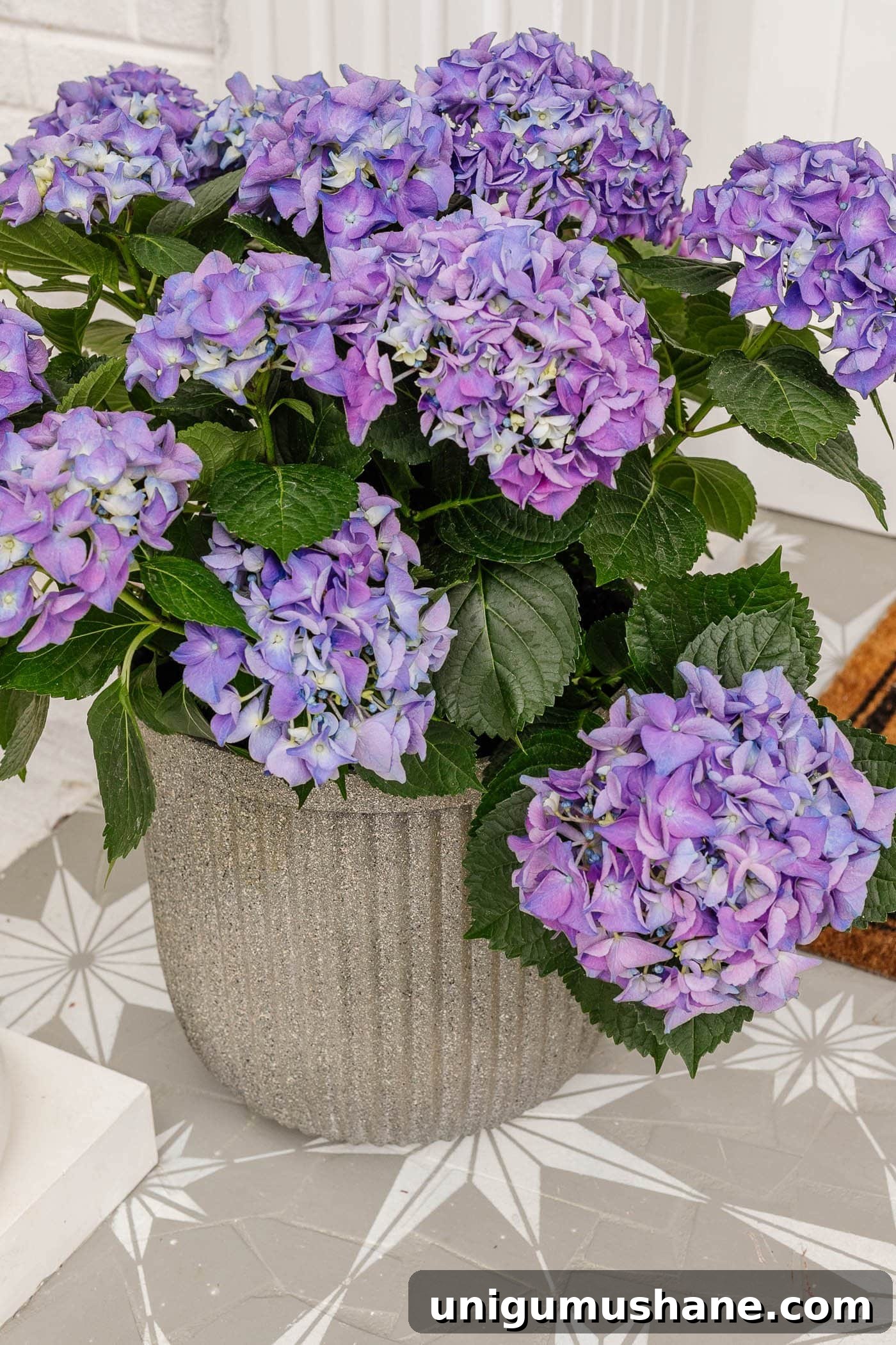 41 Budget-Friendly Backyard Projects for Outdoor Living 33 fluted planter painted to look like concrete with purple flowers