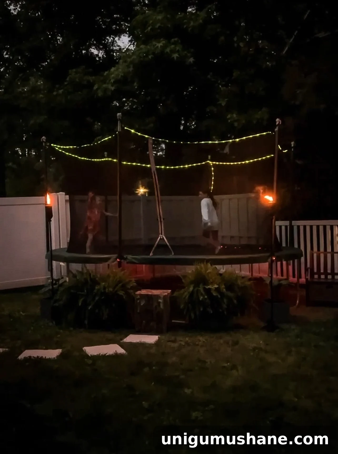 41 Budget-Friendly Backyard Projects for Outdoor Living 42 img 49236 42