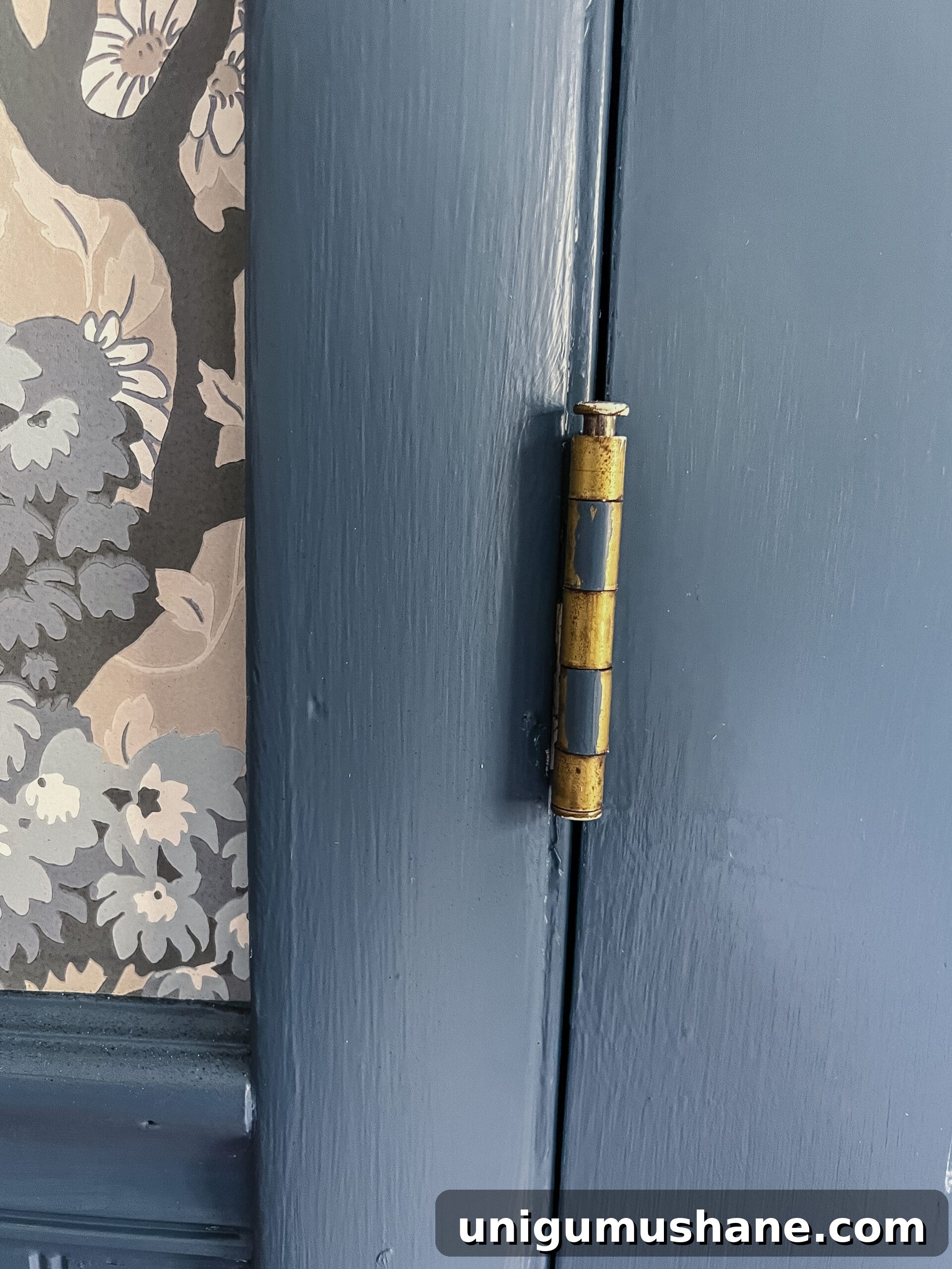 paint on hinges