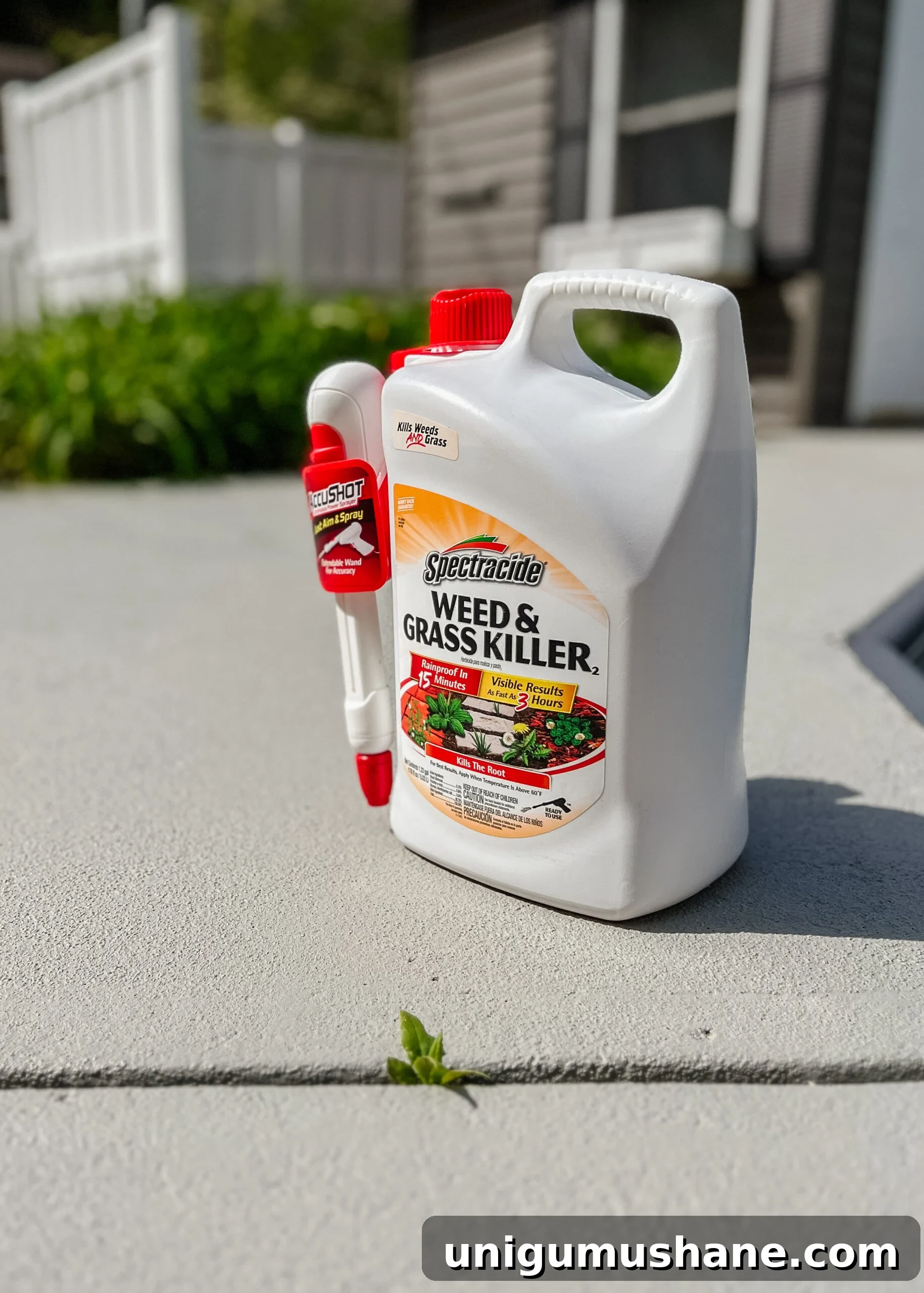 Spring Cleaning Checklist for Your Backyard Patio 6 spraying for weed removal using spectracide between walkway cracks