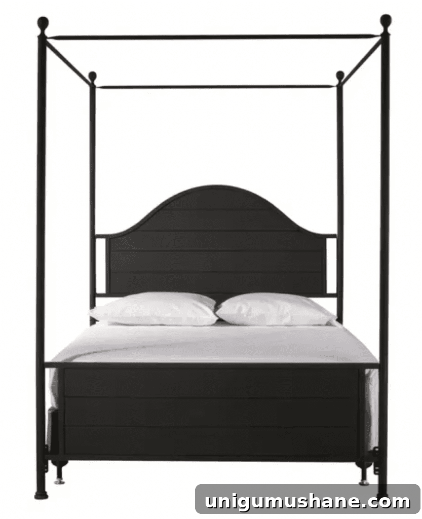 black metal canopy bed