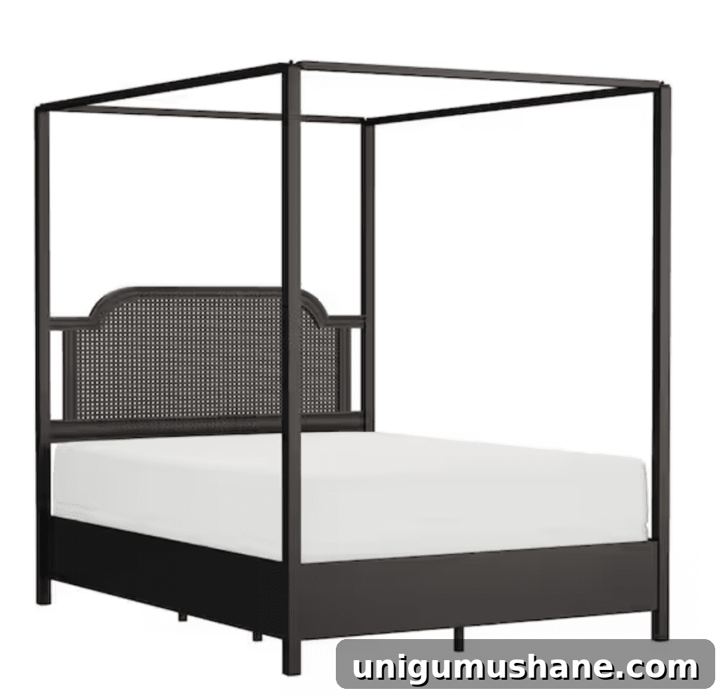 bronze cane canopy bed
