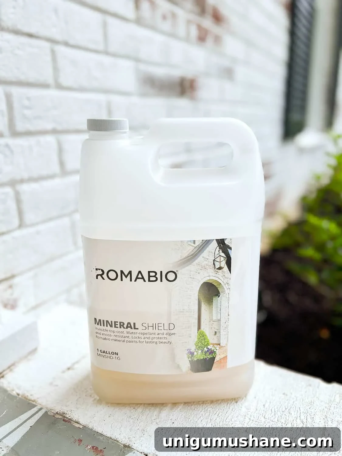 Limewashed Brick Cleaning and Maintenance Guide 13 romabio mineral shield