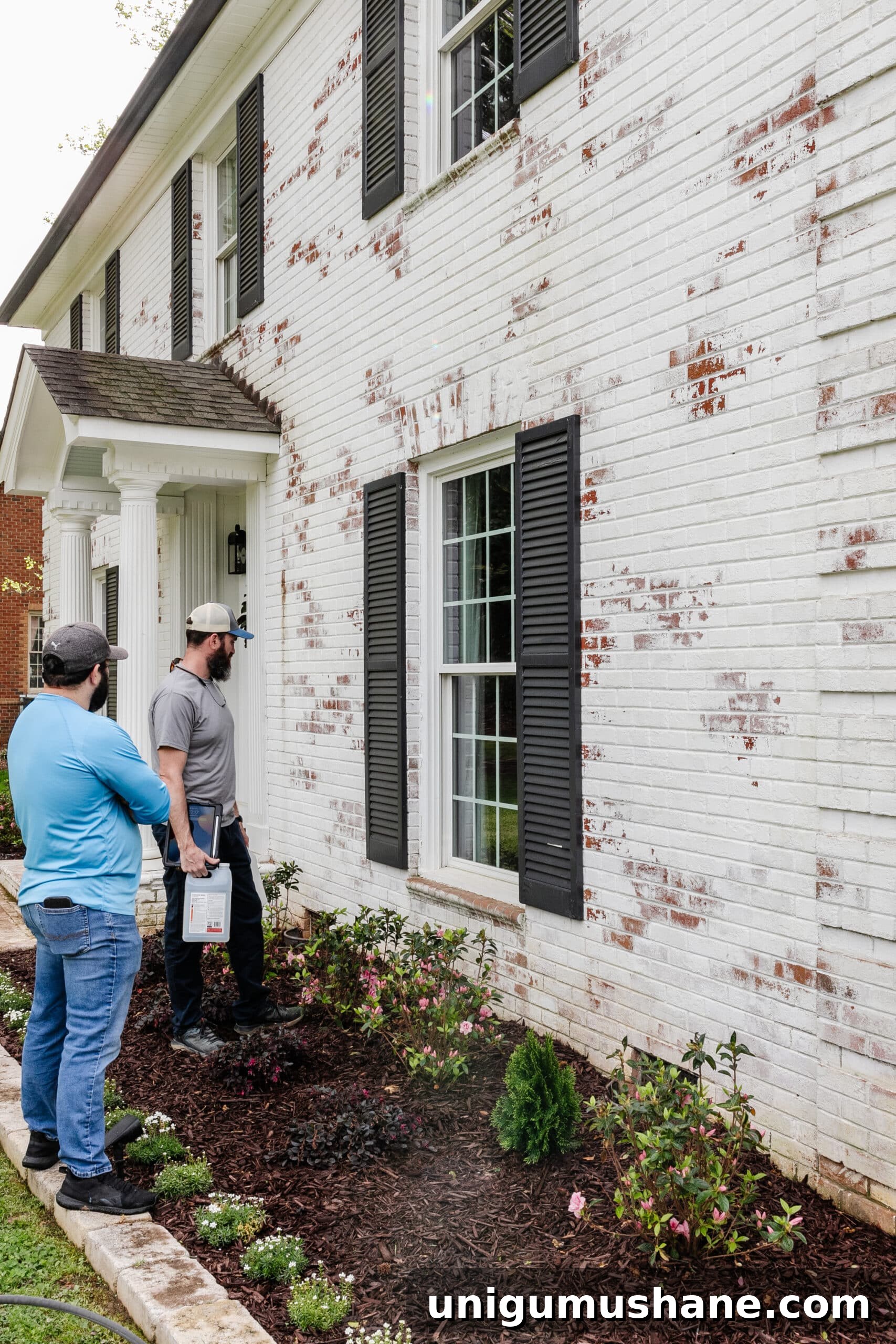 Limewashed Brick Cleaning and Maintenance Guide 14 cleaning algae and dirt on limewash brick around a flower bed