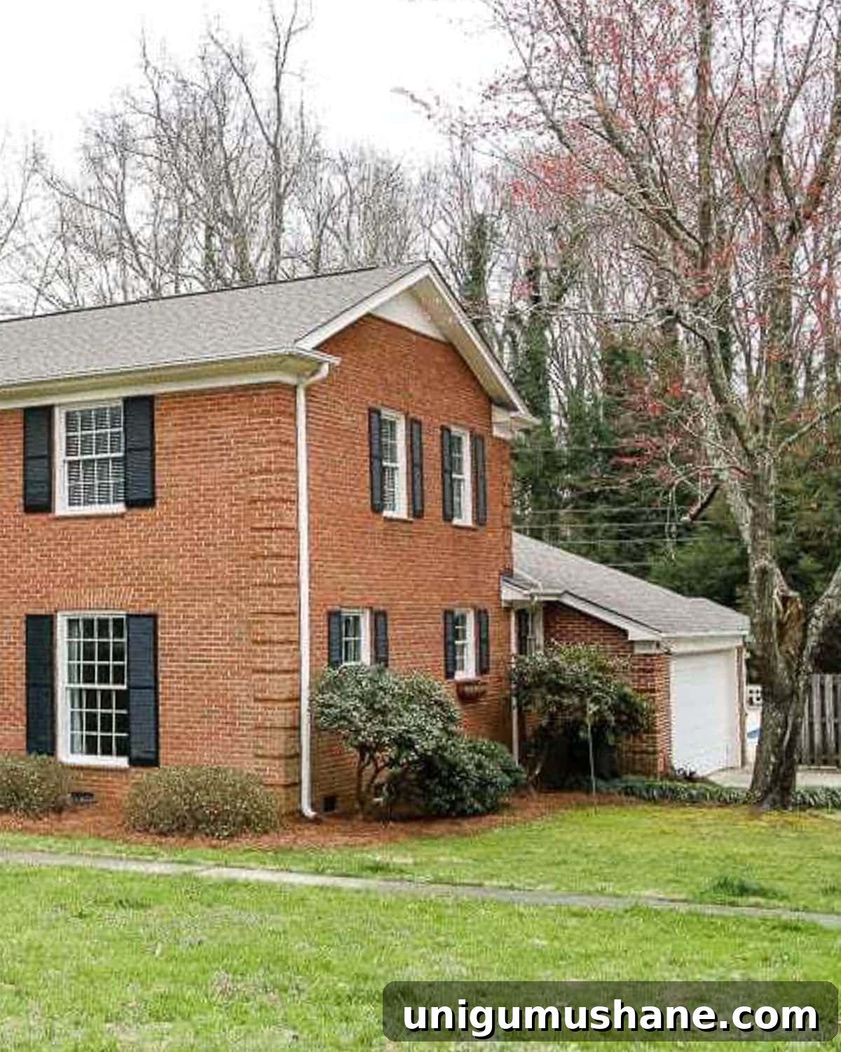 Limewashed Brick Cleaning and Maintenance Guide 17 natural brick colonial before