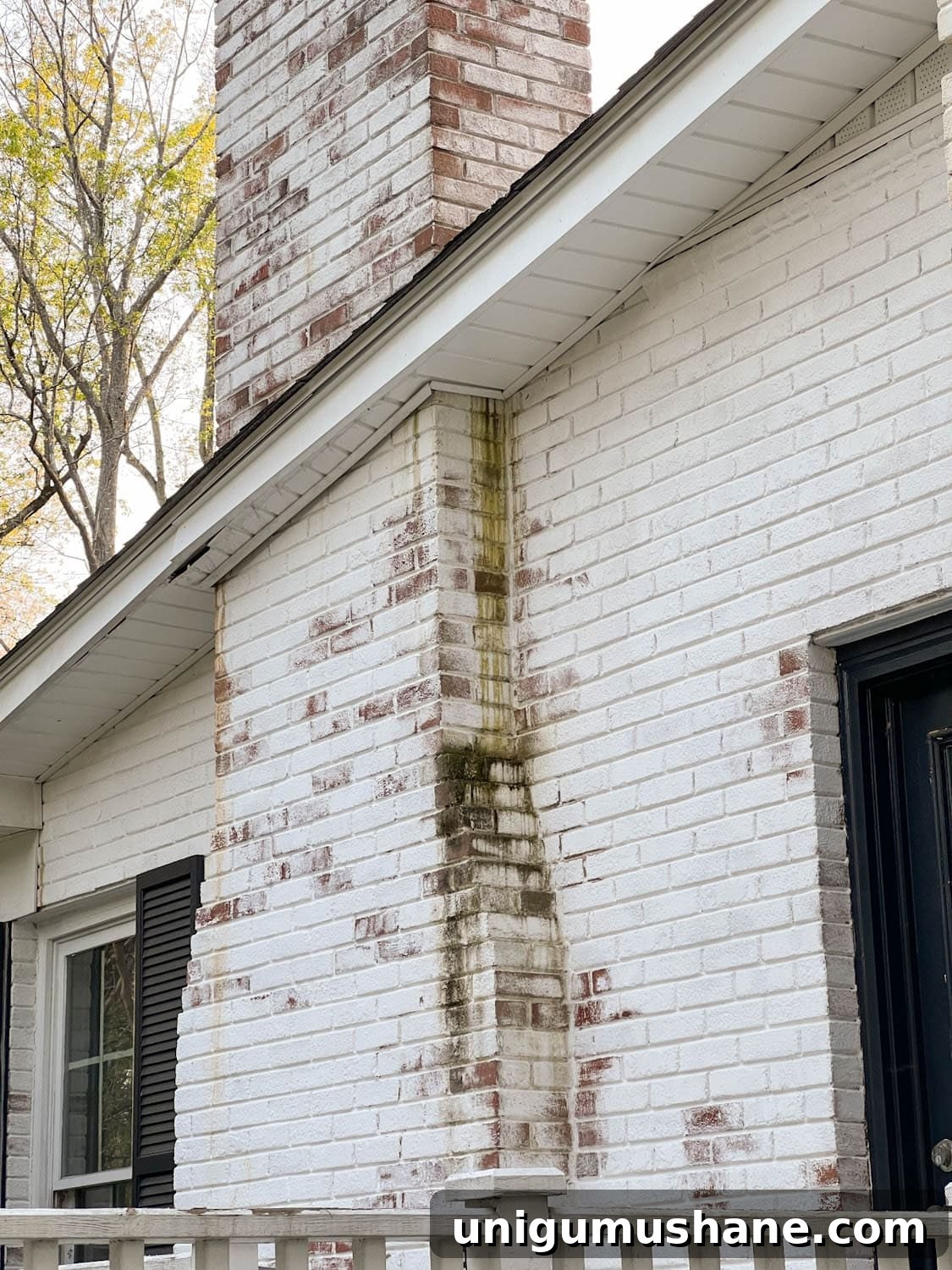 Limewashed Brick Cleaning and Maintenance Guide 9 dirty limewashed brick exterior with algae, moss, and mildew