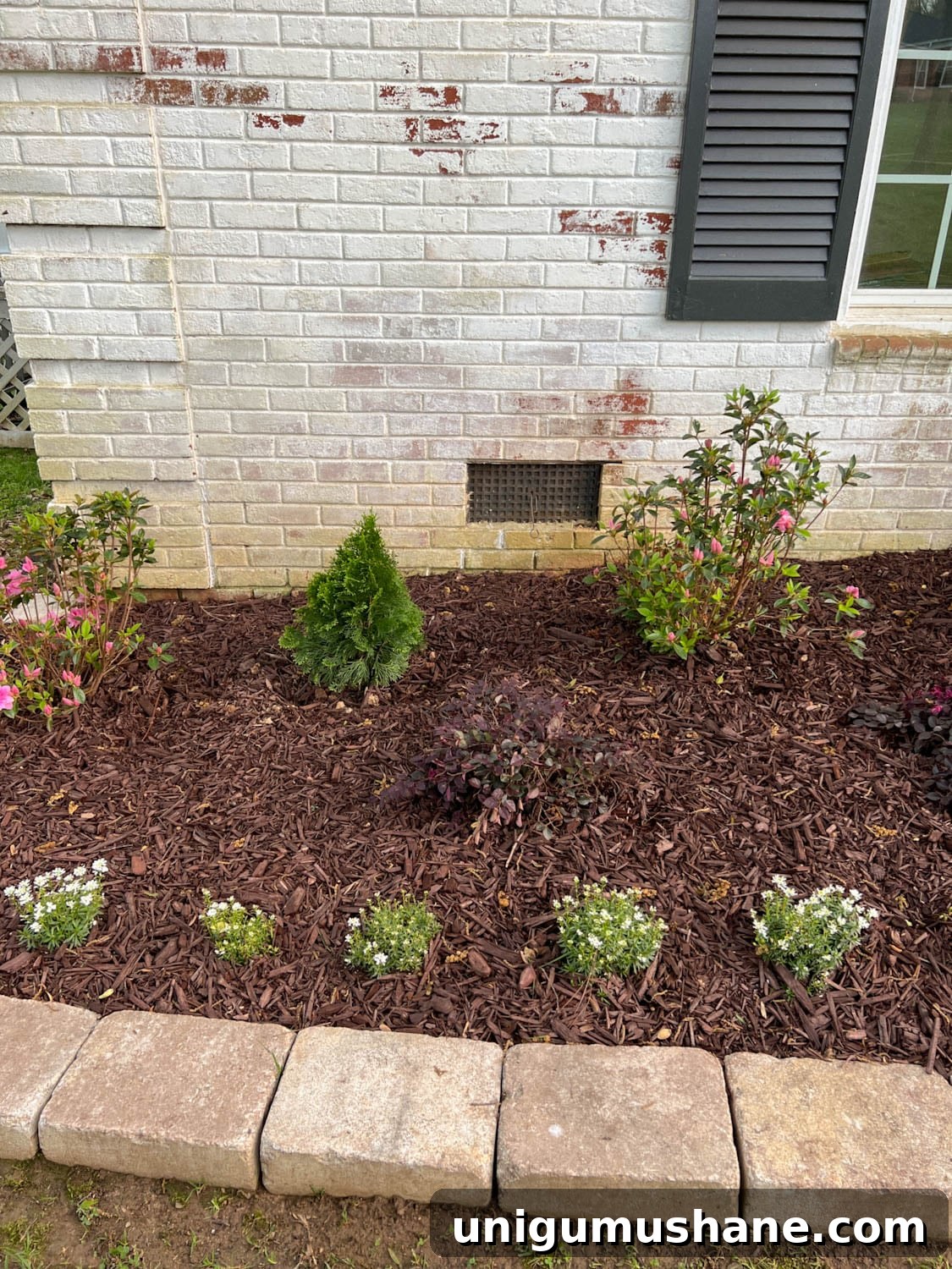 Limewashed Brick Cleaning and Maintenance Guide 10 dirt and grass stains on white brick