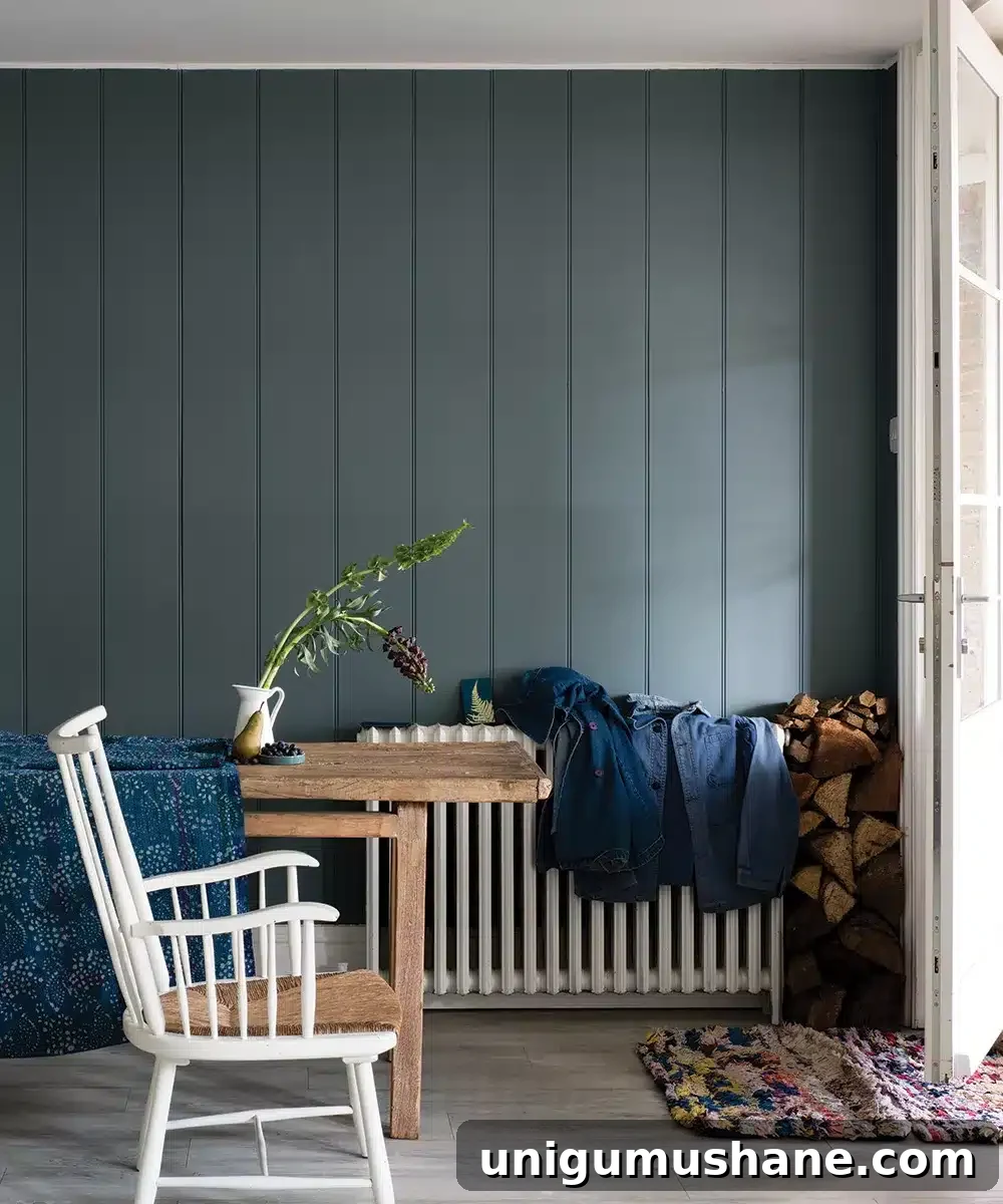 farrow and ball de nimes in an entryway