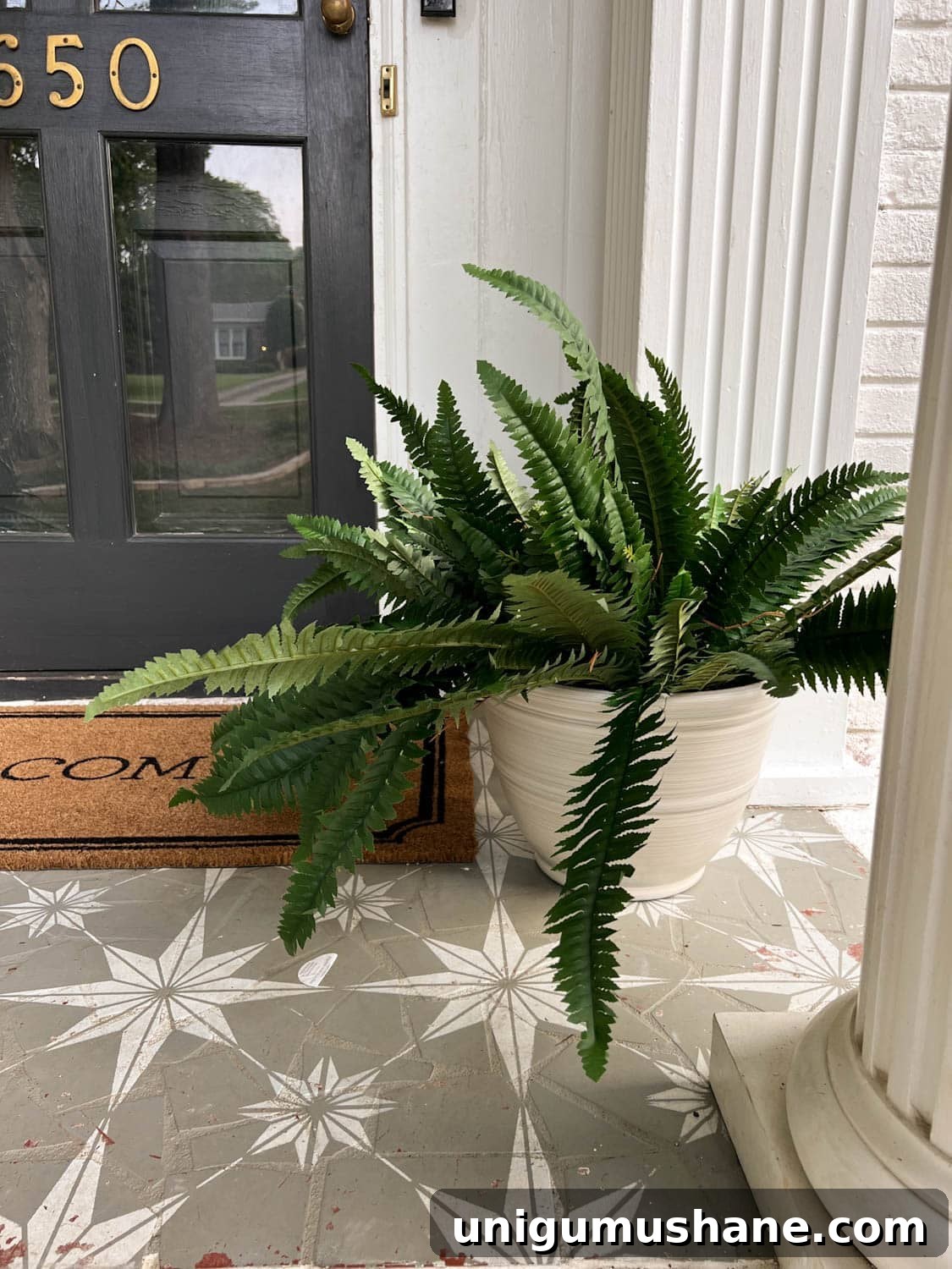 40 Faux Outdoor Plants for Porch Planters 5 artificial fern on a porch beside a front door