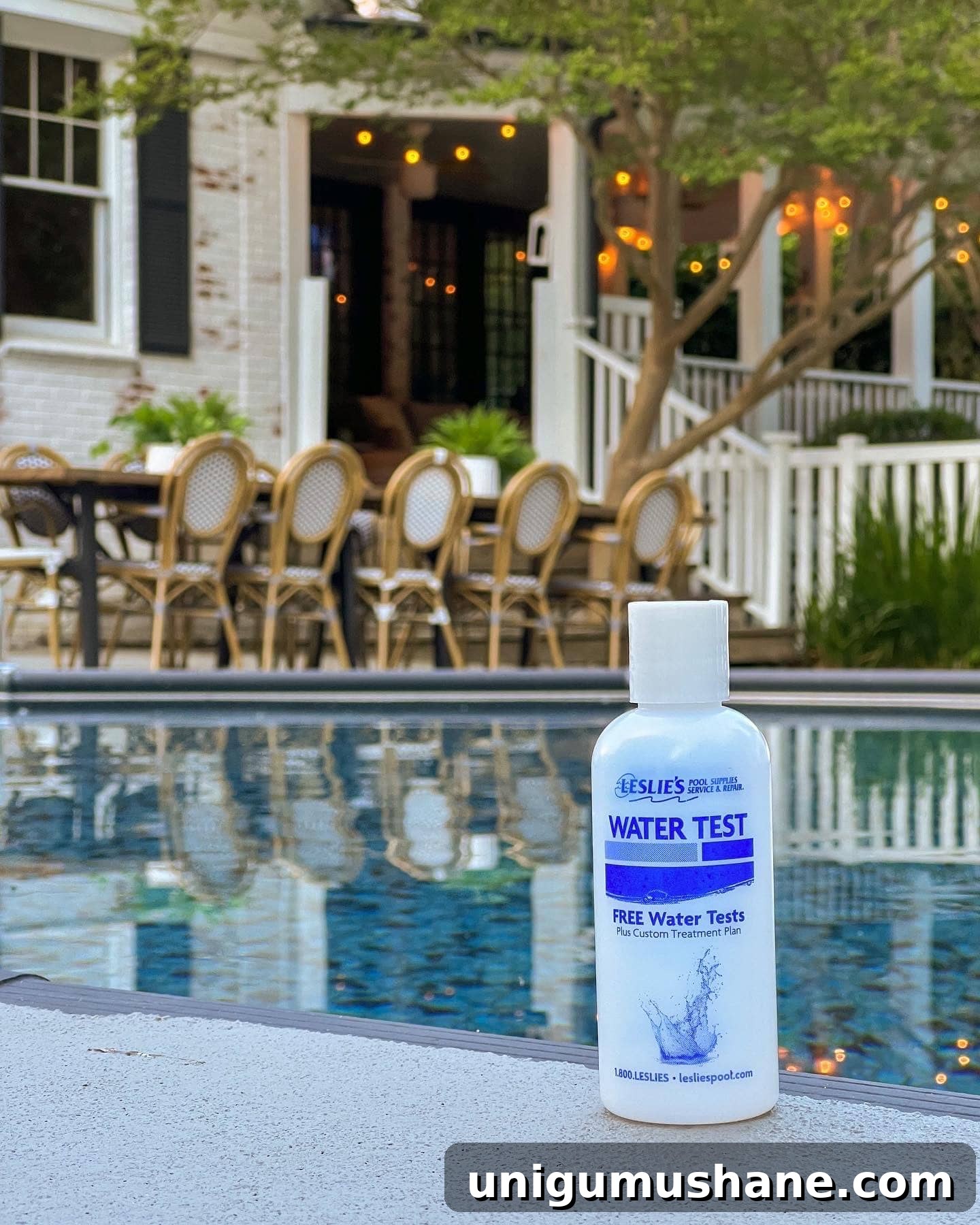 Swim Party Checklist: Backyard Tips for a Splashing Bash 8 Leslie's water test