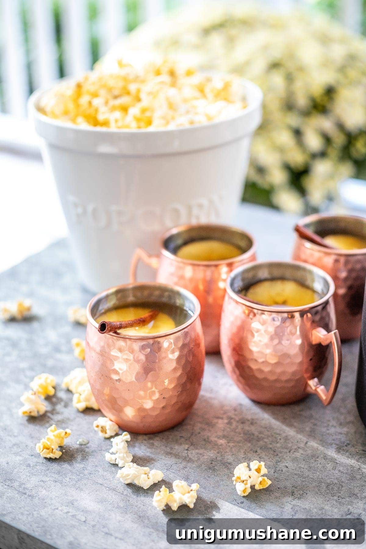 How to Host a Memorable Bonfire Party: 10 Safety and Setup Tips 11 bonfire party food serving popcorn and apple cider