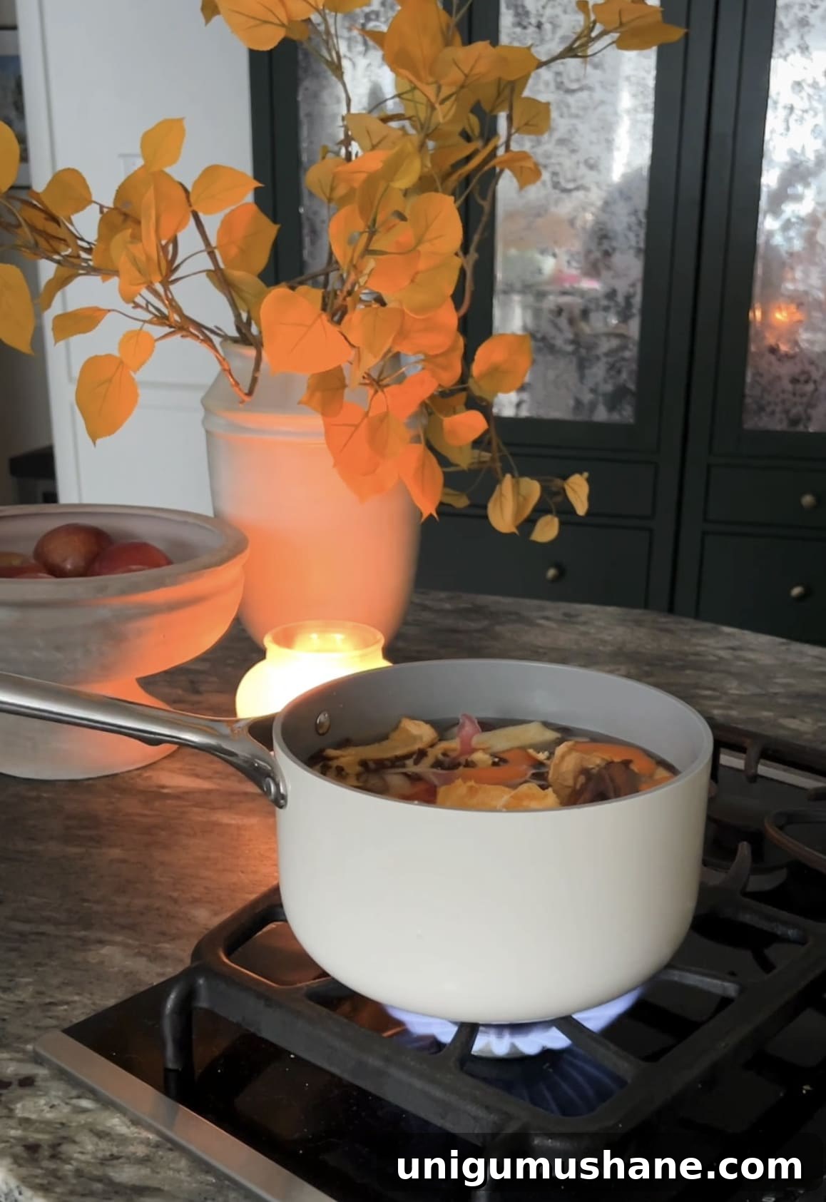 Zero-Waste Simmer Pot Recipe with Kitchen Scraps 6 potpourri ingredients simmering on a stovetop