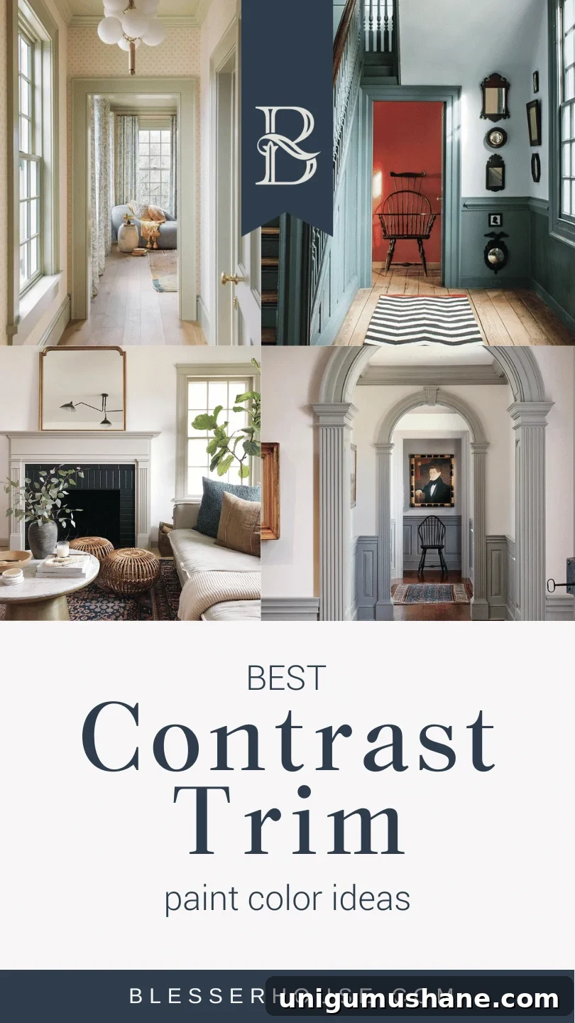 best contrast trim paint color ideas recommended by interior designers