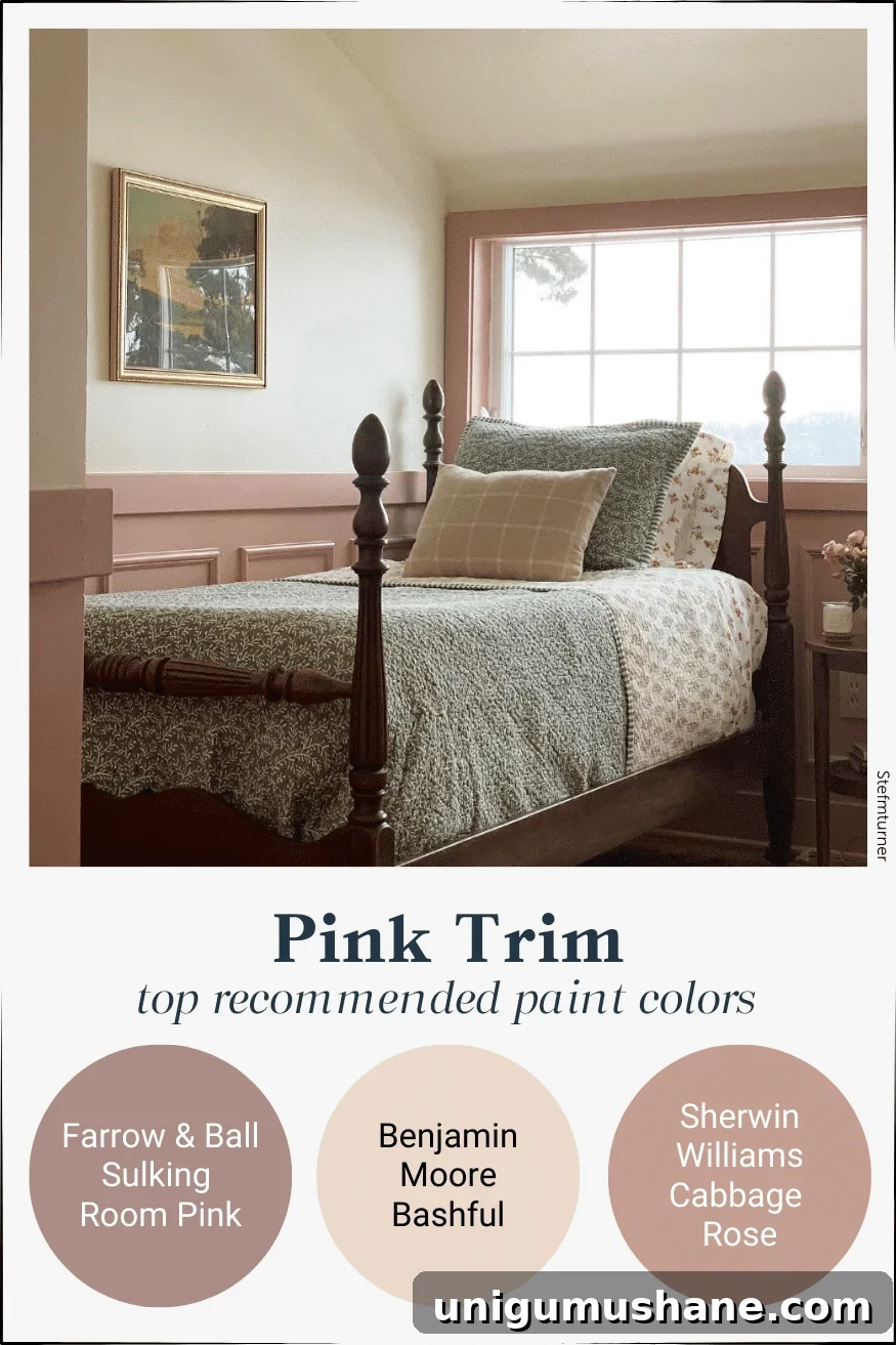 pink contrast trim paint colors