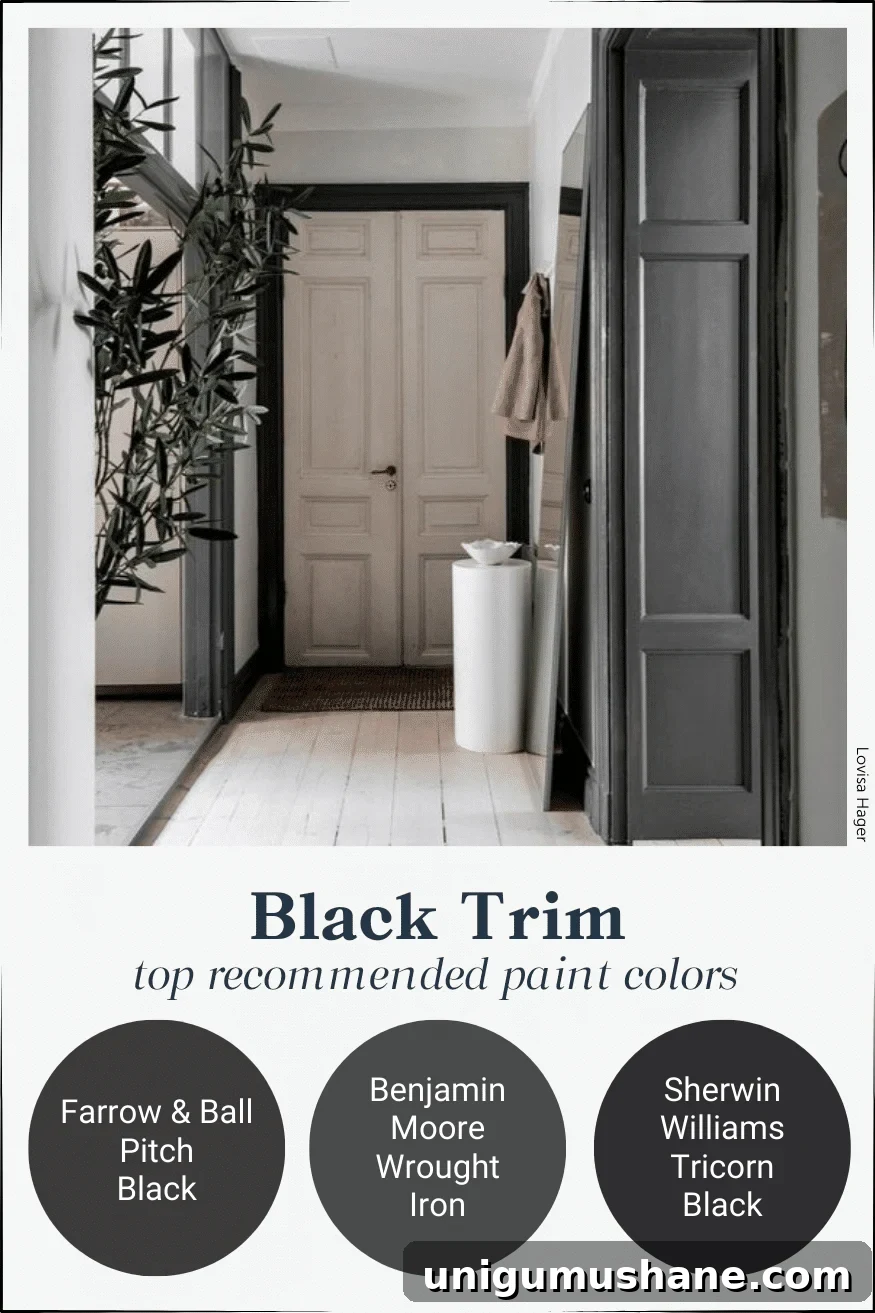 black contrast trim paint colors