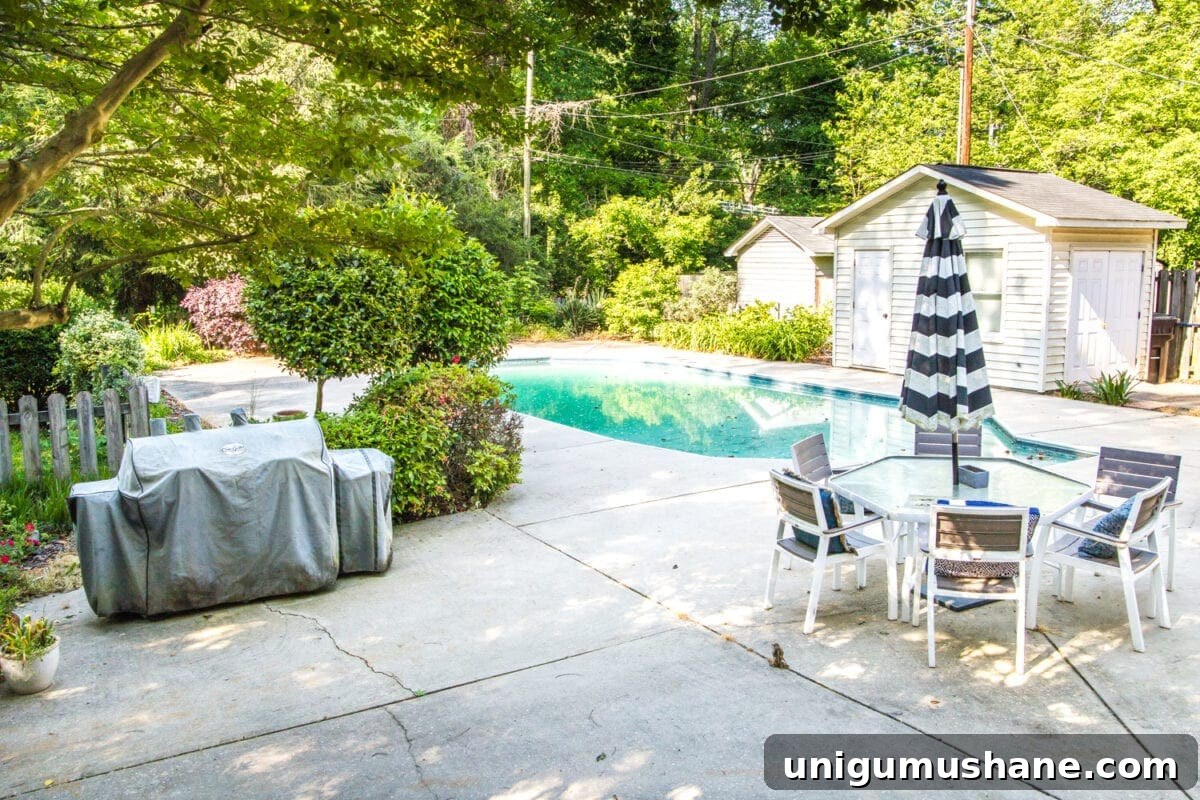 Amazon Patio Furniture and Outdoor Decor: Affordable Luxury 7 backyard pool before