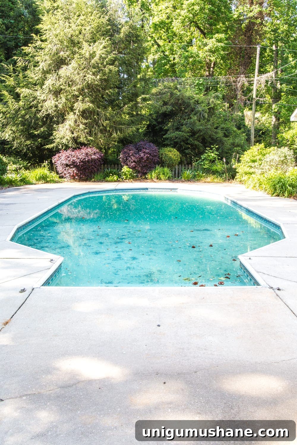 Amazon Patio Furniture and Outdoor Decor: Affordable Luxury 4 backyard pool before