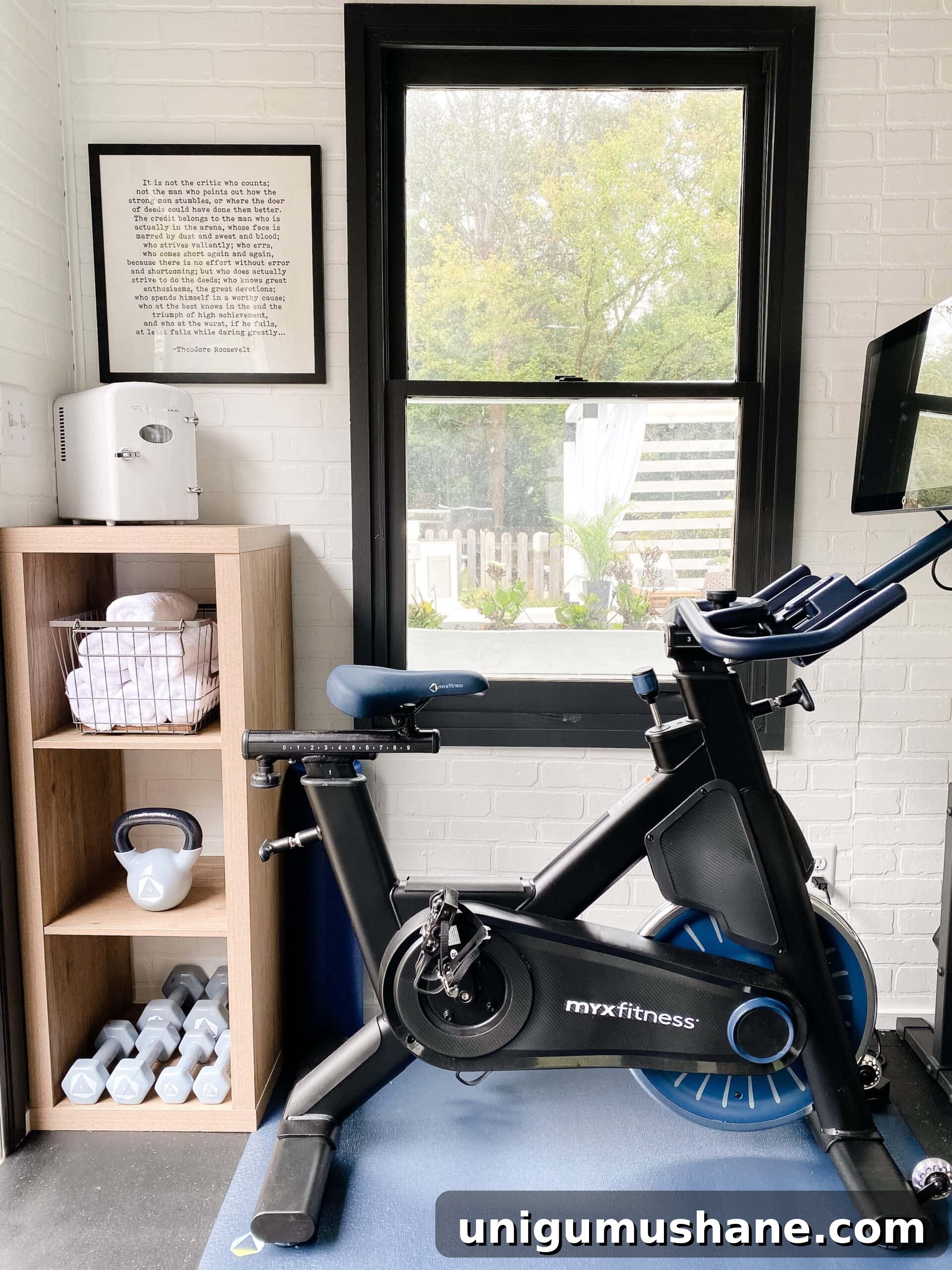 Weight Loss Journey: My Health Transformation Story 12 cardio bike in a gym shed with mini fridge and towels