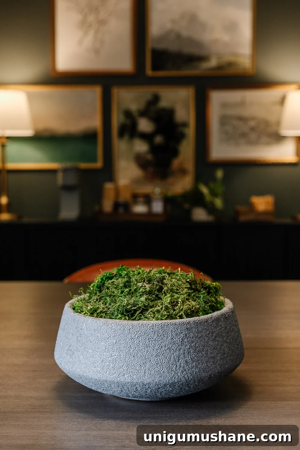 14 Natural Home Decor Ideas to Bring the Outdoors In 13 nature decor moss bowl filler