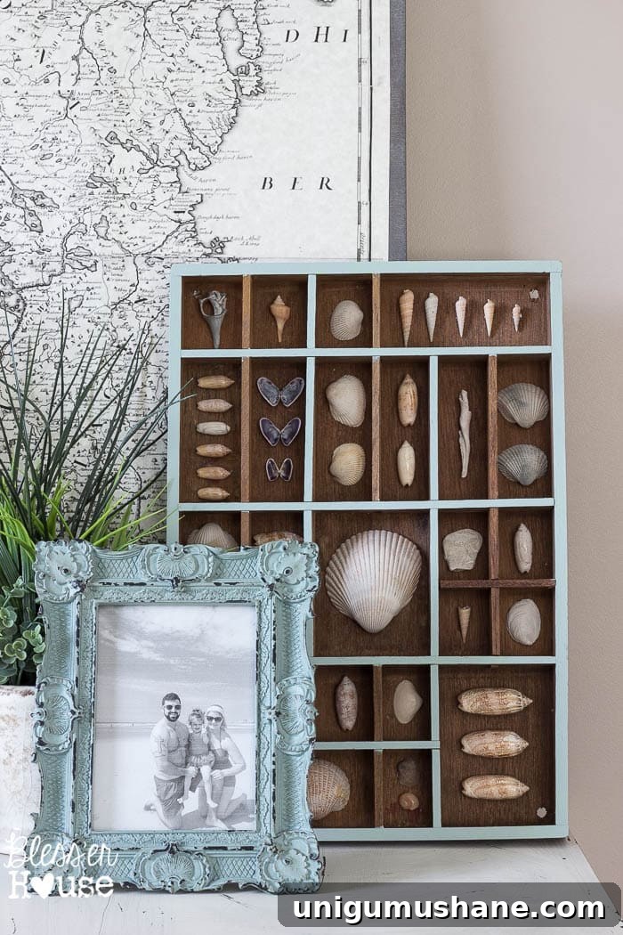 14 Natural Home Decor Ideas to Bring the Outdoors In 6 seashell display in a printer tray shadow box for natural decor in summer